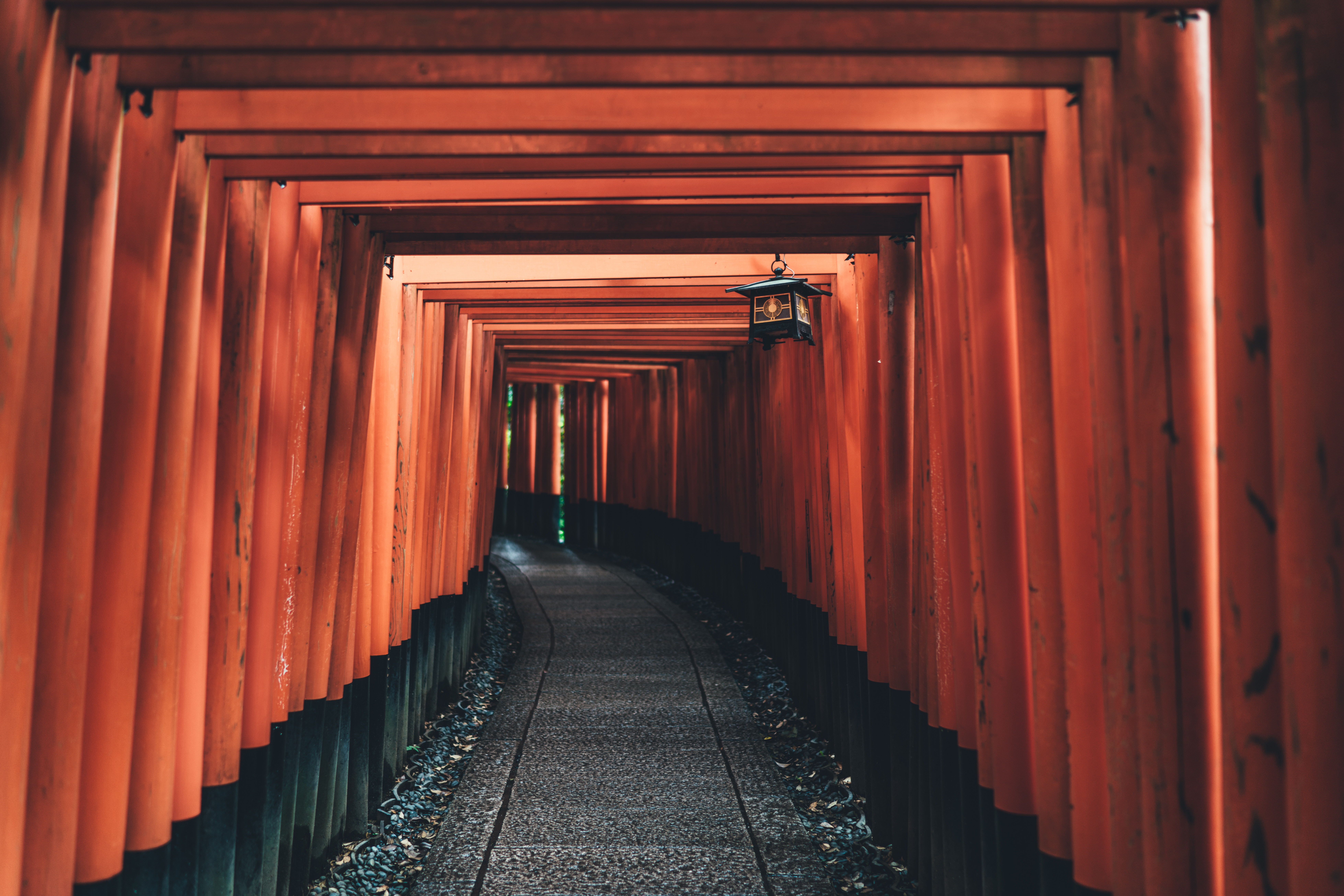 Orange Torii Gate Tunnel Pathway at Fushimi Inari Shrine HD Wallpaper