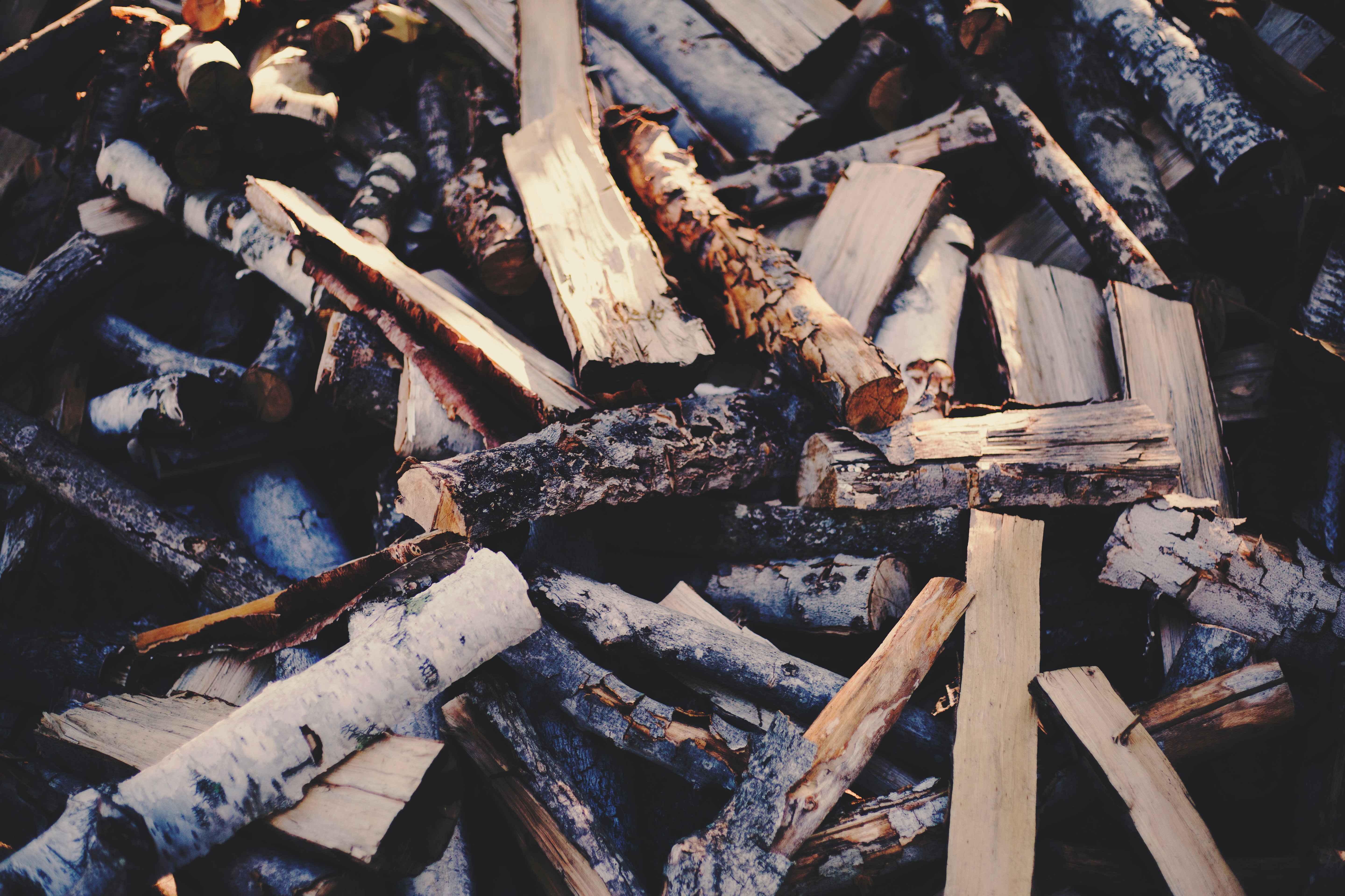 Pile of firewood in a forest HD Wallpaper