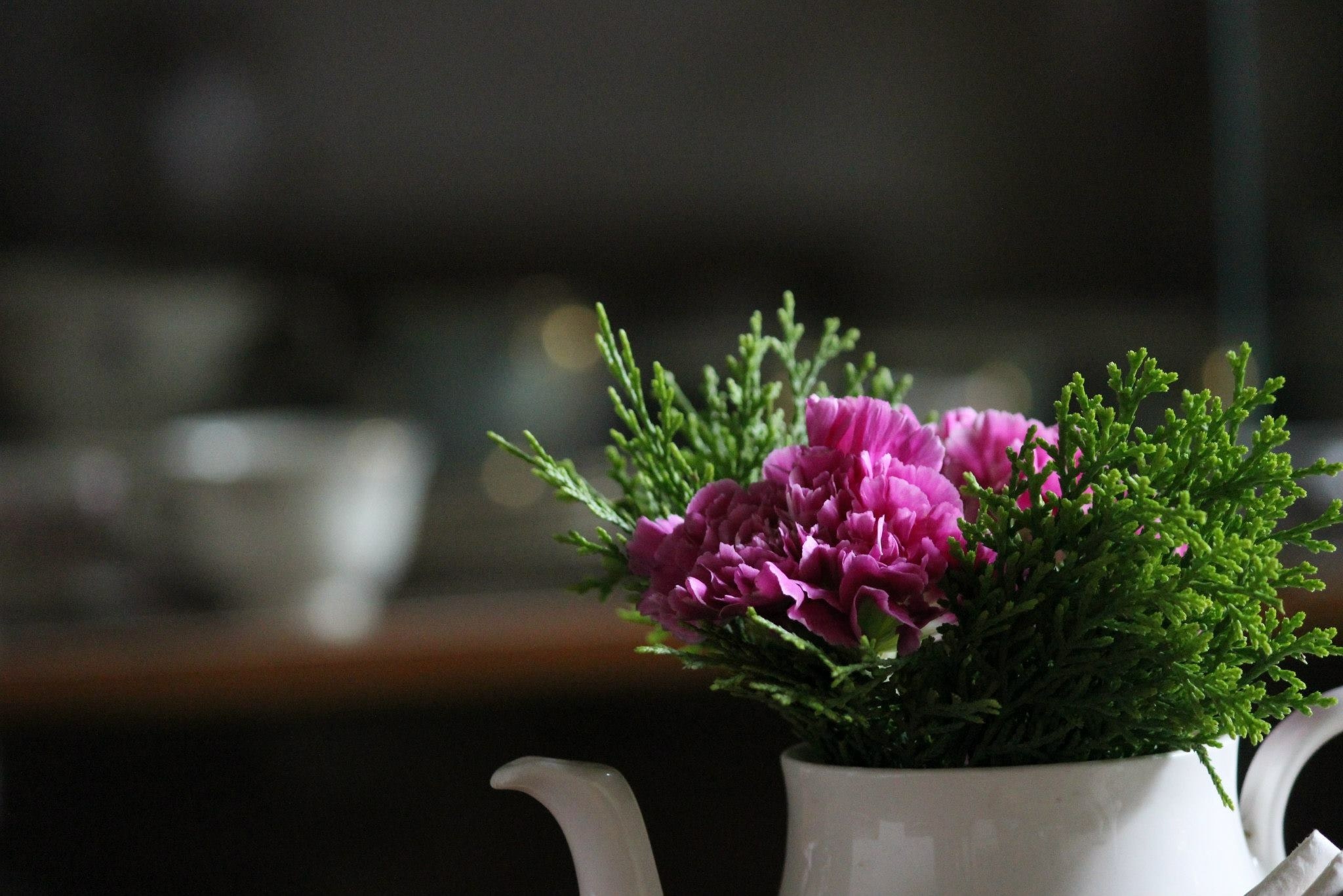 Pink carnations and greenery in a white teapot HD Wallpaper