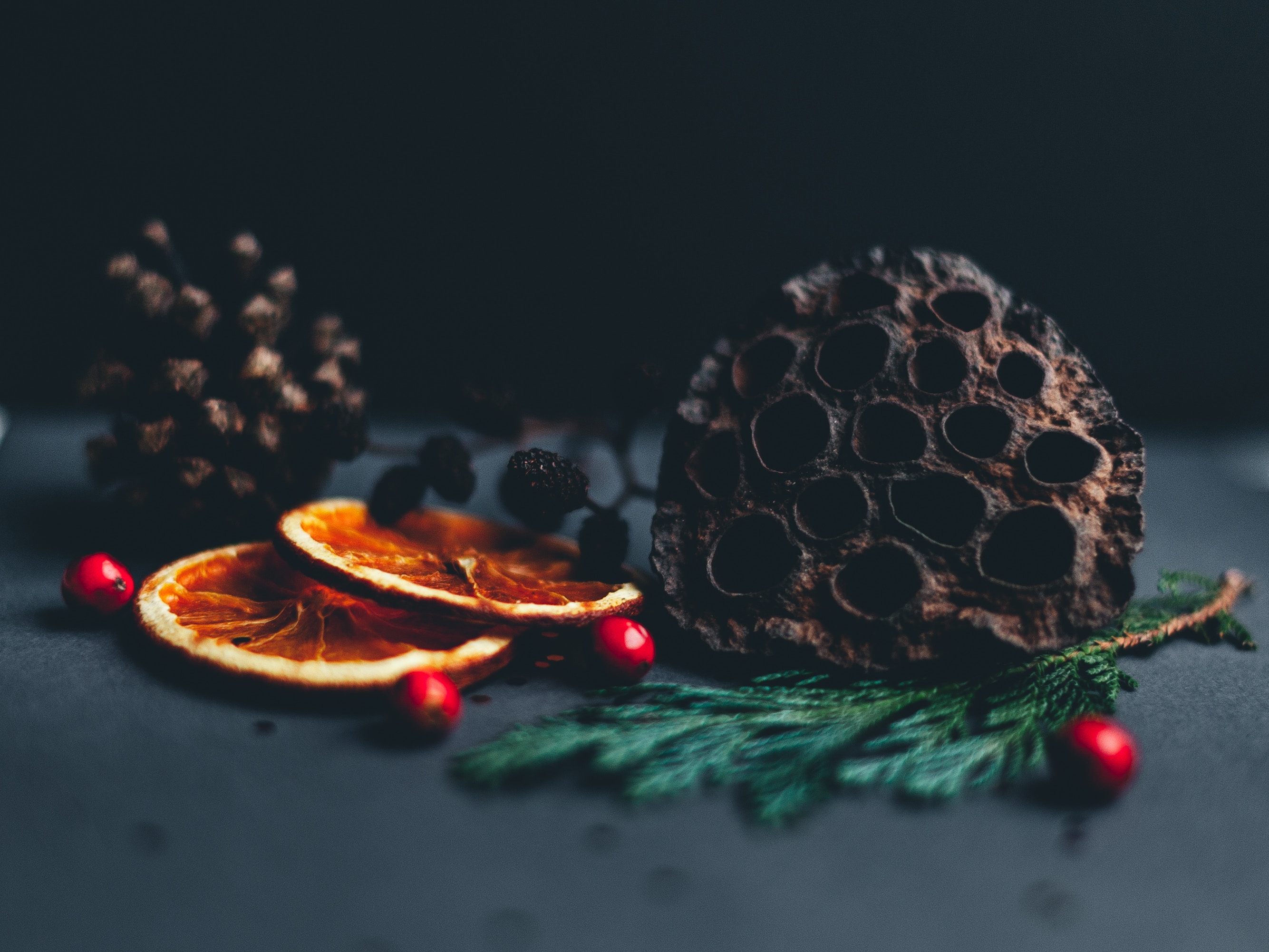 Dried orange slices, pine cone, and berries with fir sprigs HD Wallpaper