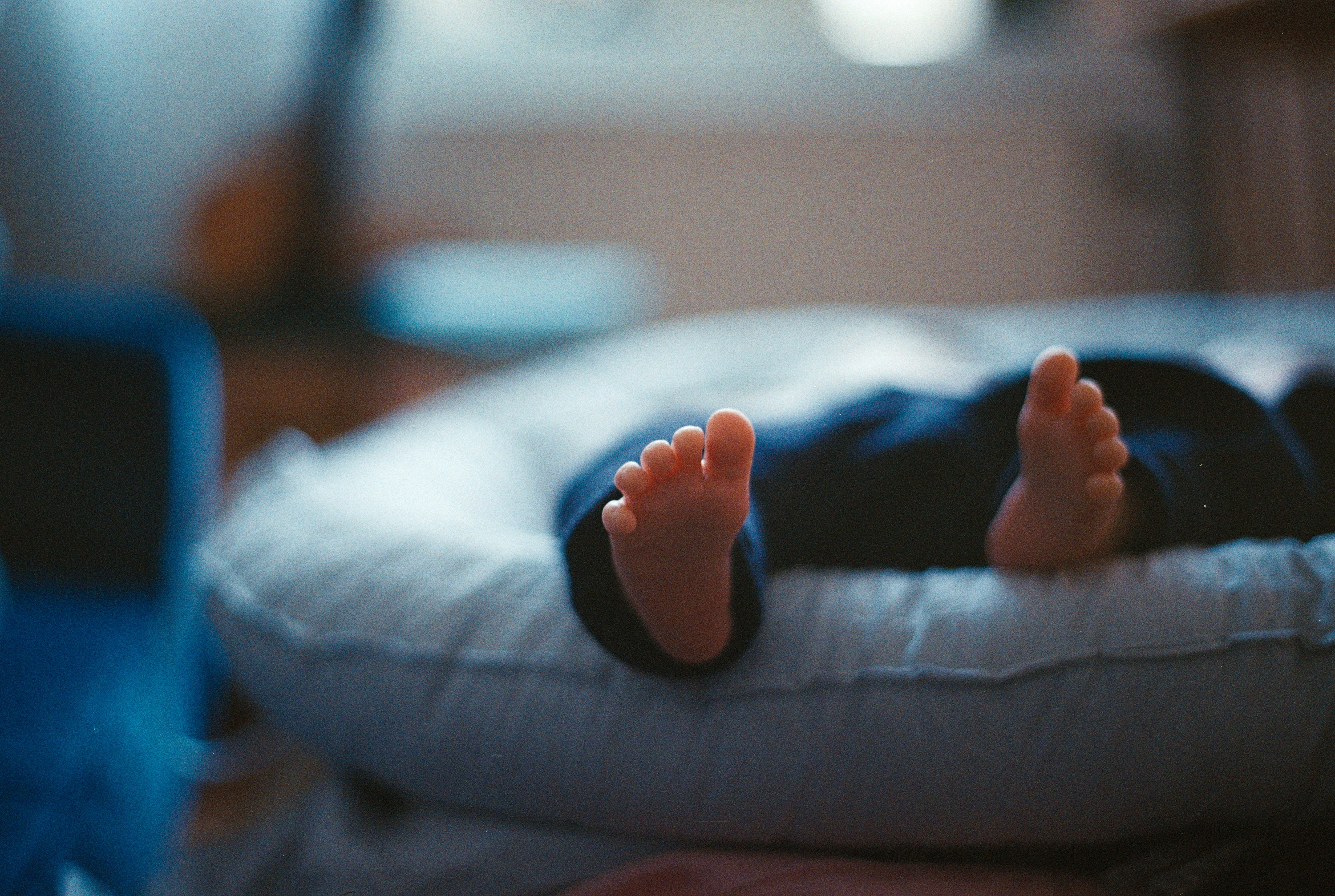 Close-up of a baby's feet in a soft nest HD Wallpaper