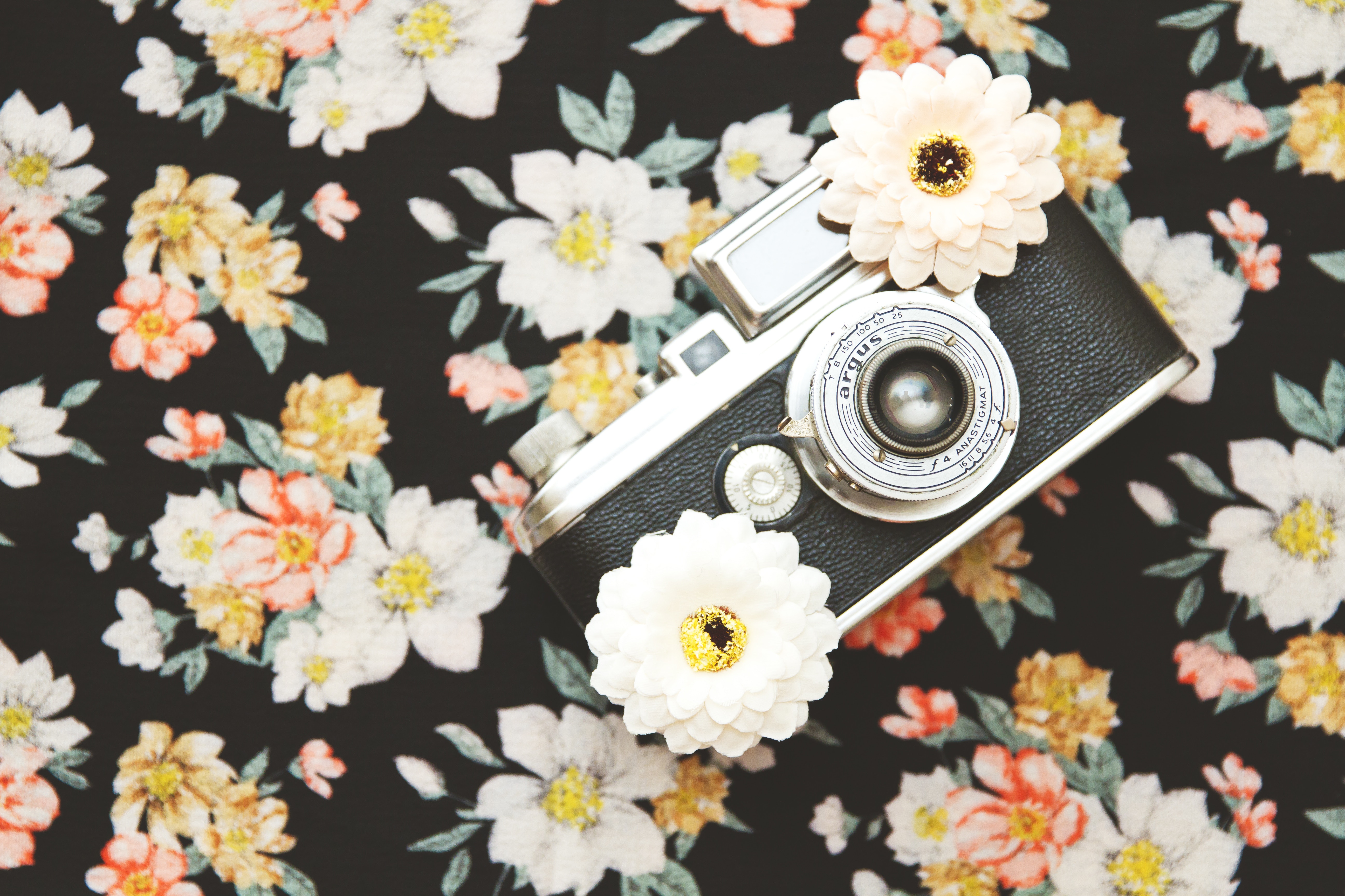Vintage Argus camera on a floral pattern HD Wallpaper