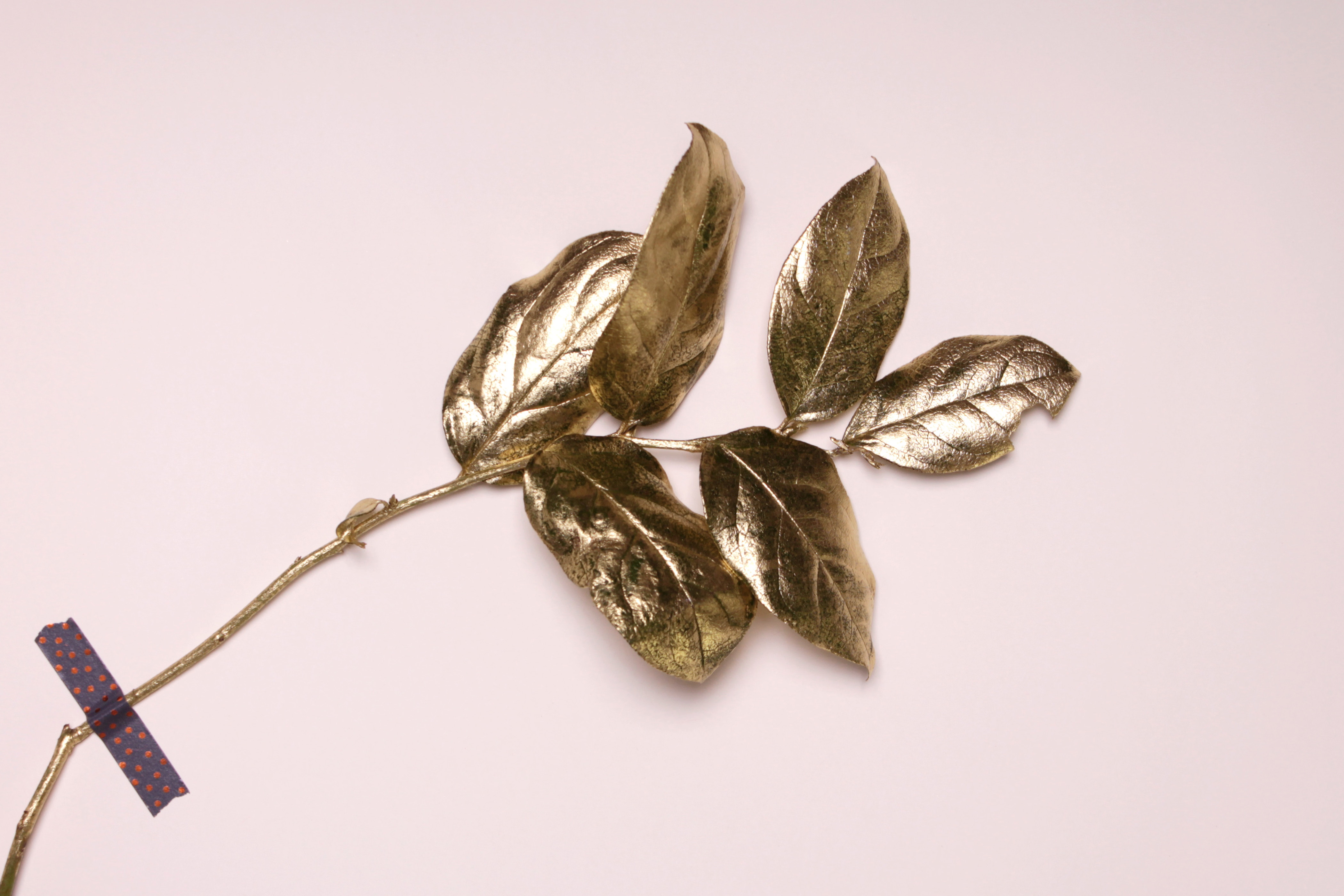 Golden branch with leaves taped to a surface HD Wallpaper