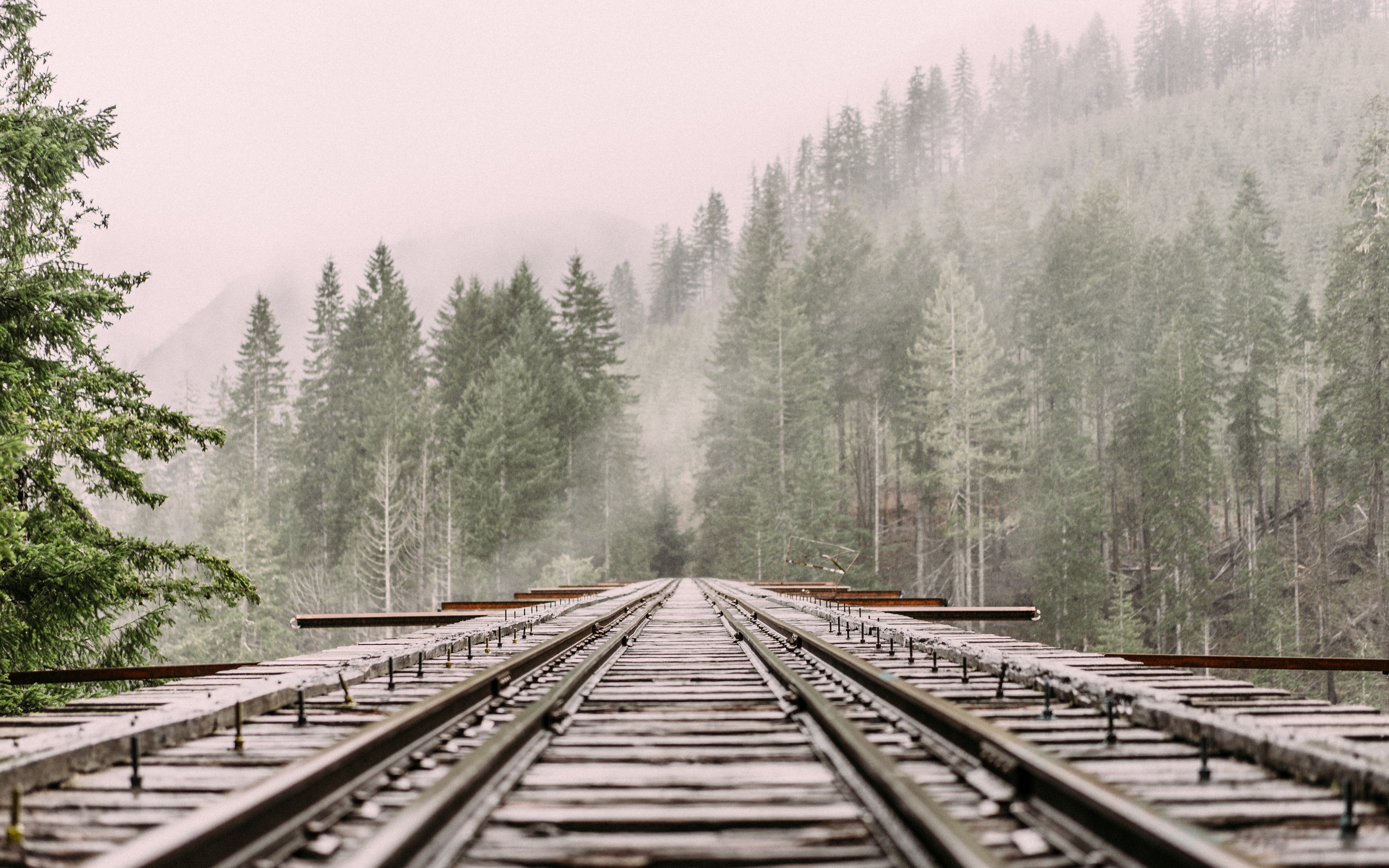 Railroad bridge through a foggy forest HD Wallpaper
