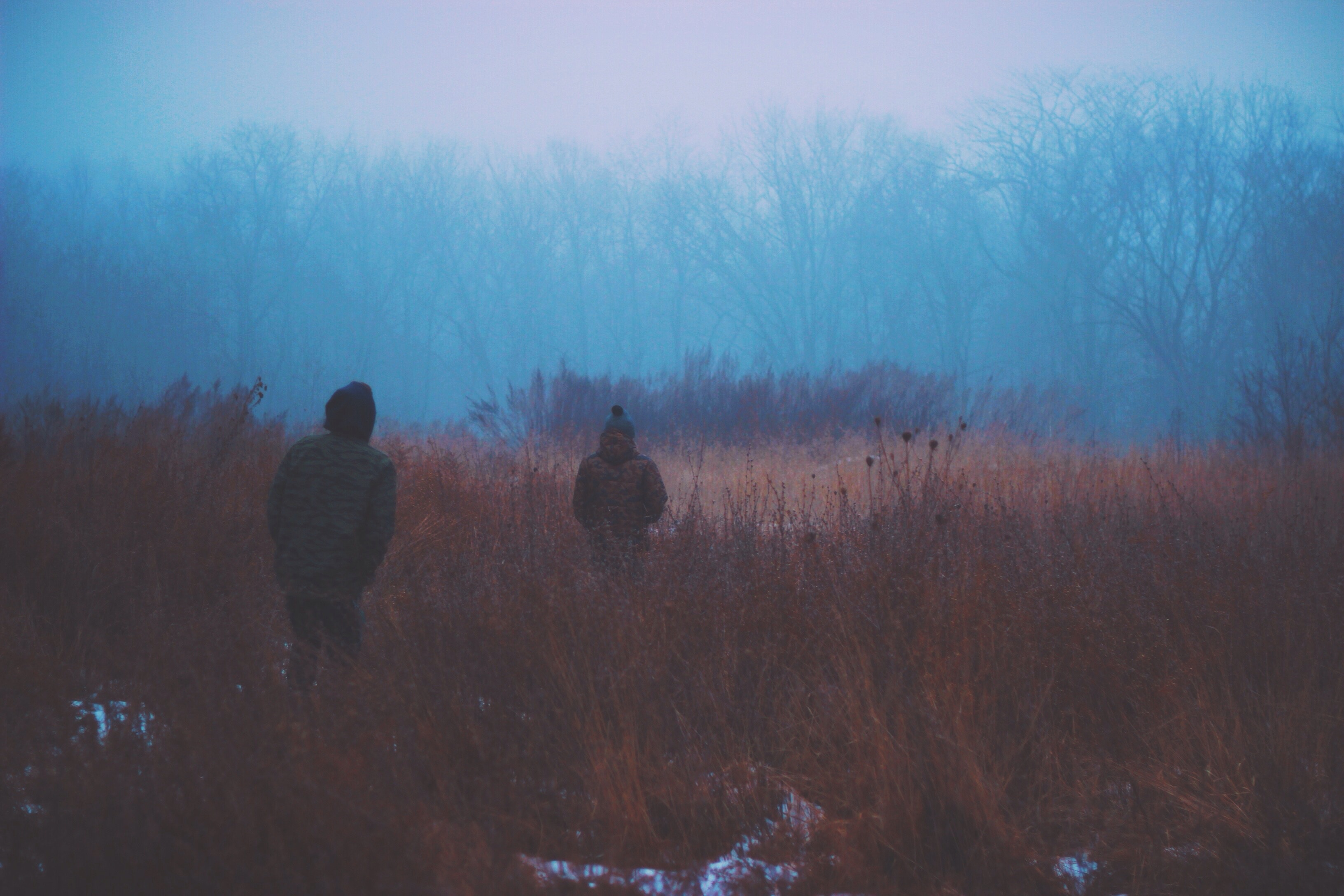 Two people walk through a foggy marsh at dusk HD Wallpaper