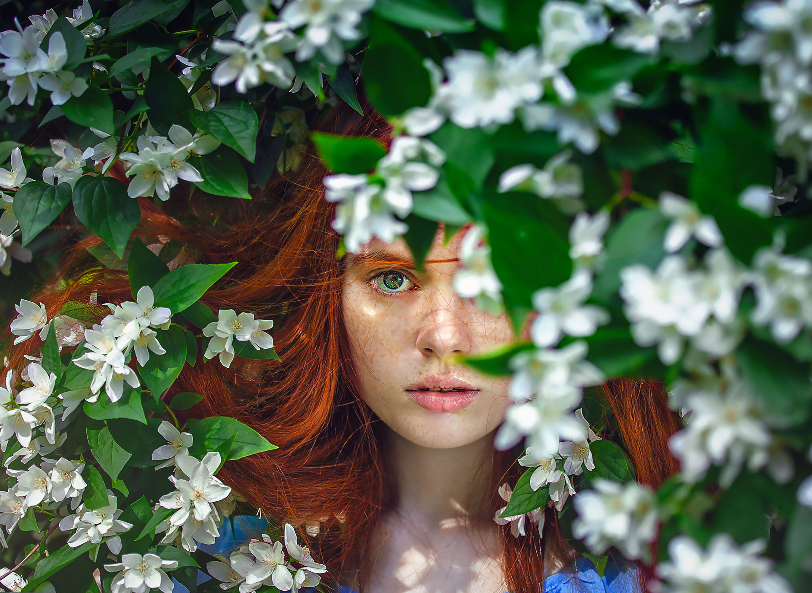 Girl with red hair surrounded by white flowers HD Wallpaper