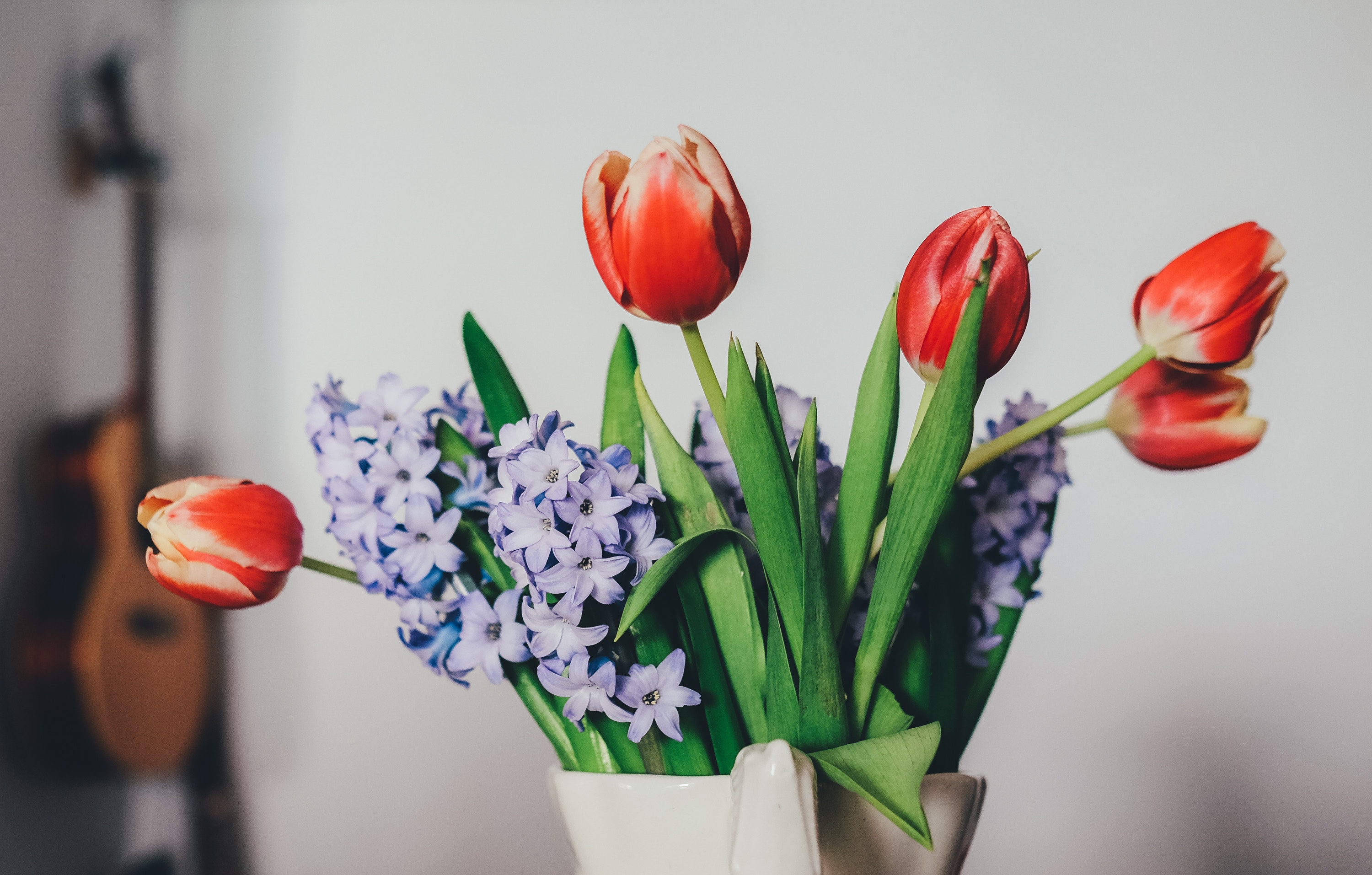 Red tulips and blue hyacinths in a vase with a guitar HD Wallpaper