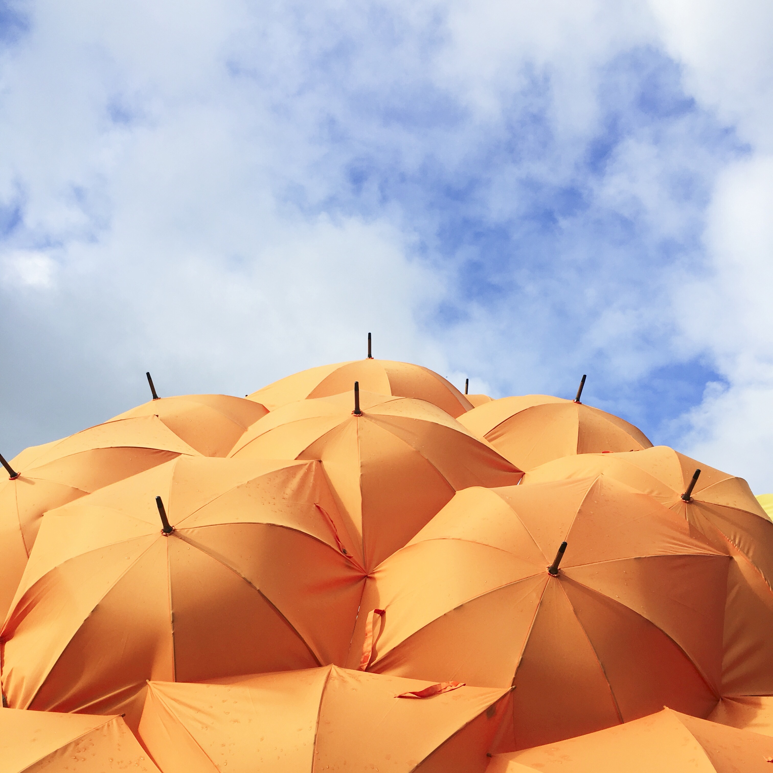 Orange umbrellas against a blue sky with clouds HD Wallpaper