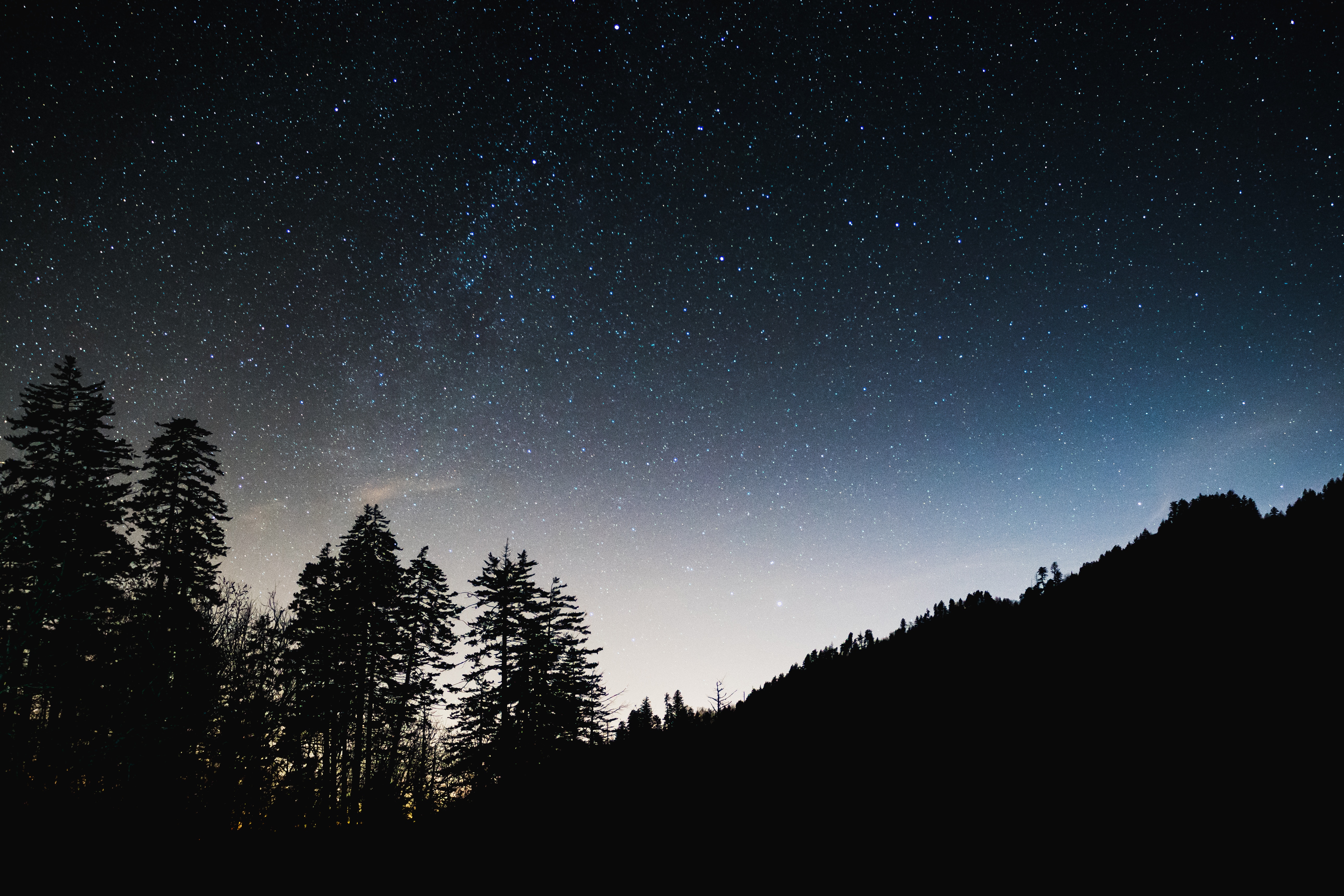 Starry night sky over a silhouetted forest and mountain ridge HD Wallpaper