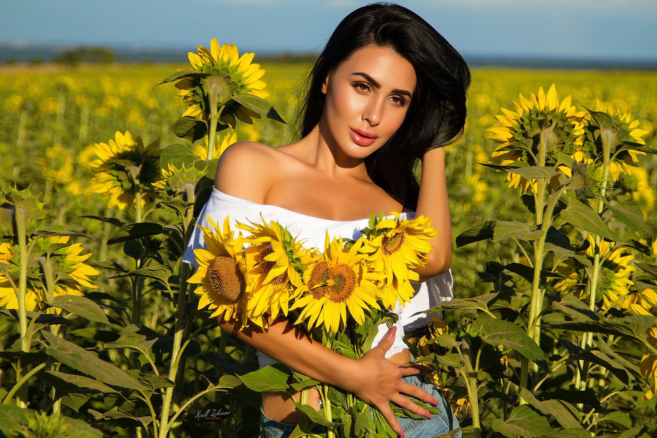 Woman holding sunflowers in a field HD Wallpaper