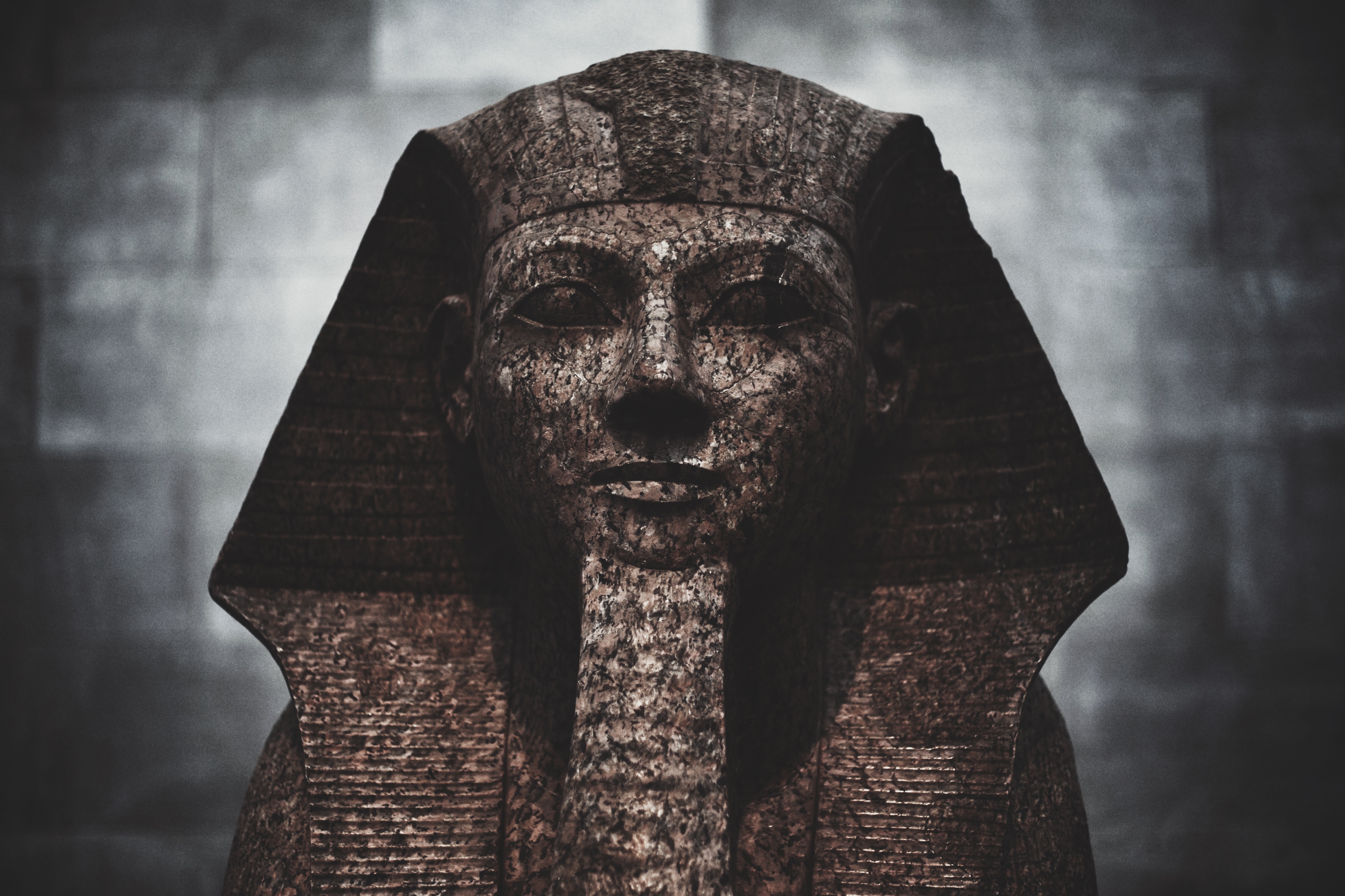 Statue of a Pharaoh in a Museum HD Wallpaper