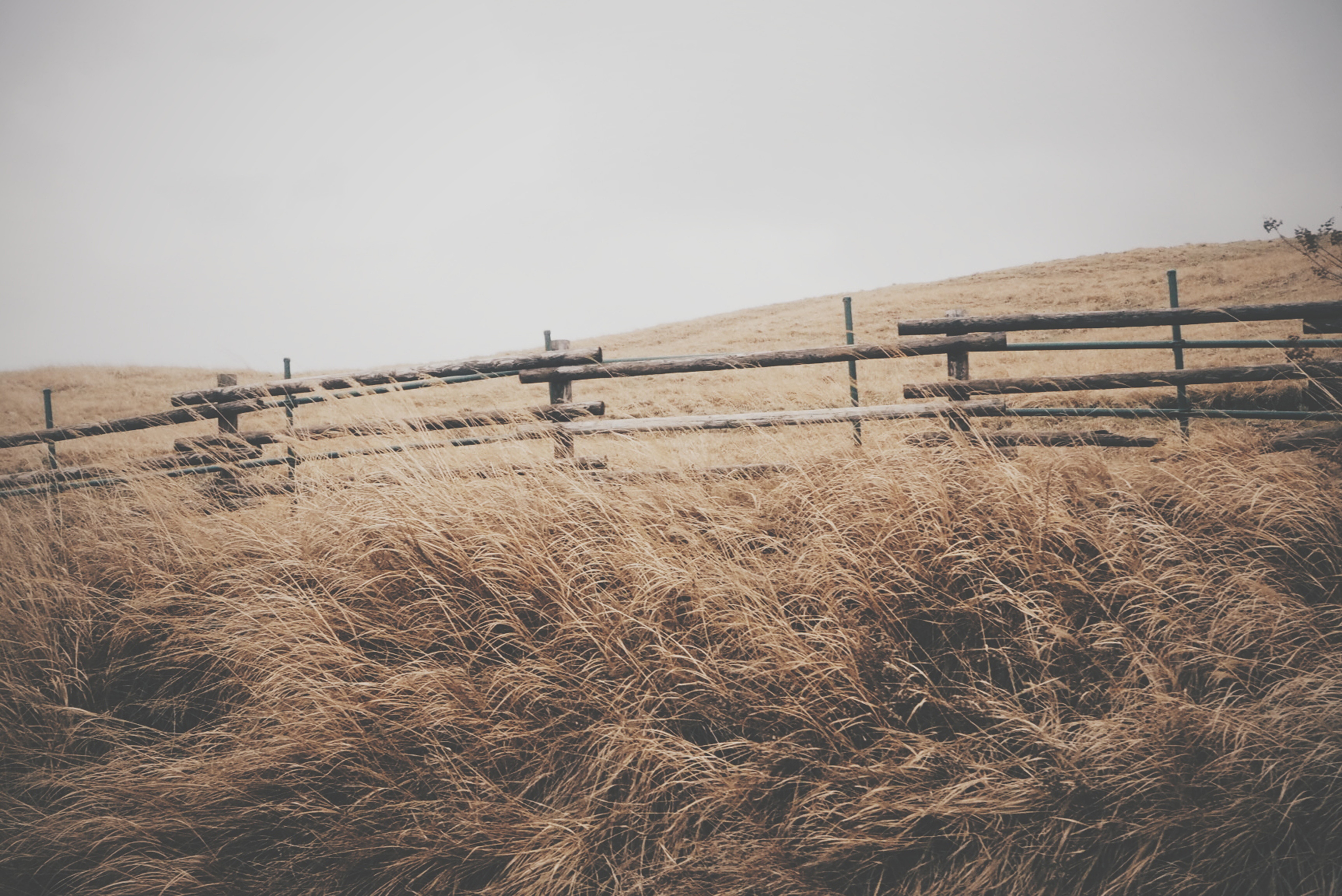 Wooden fence in a dry grass field under an overcast sky HD Wallpaper