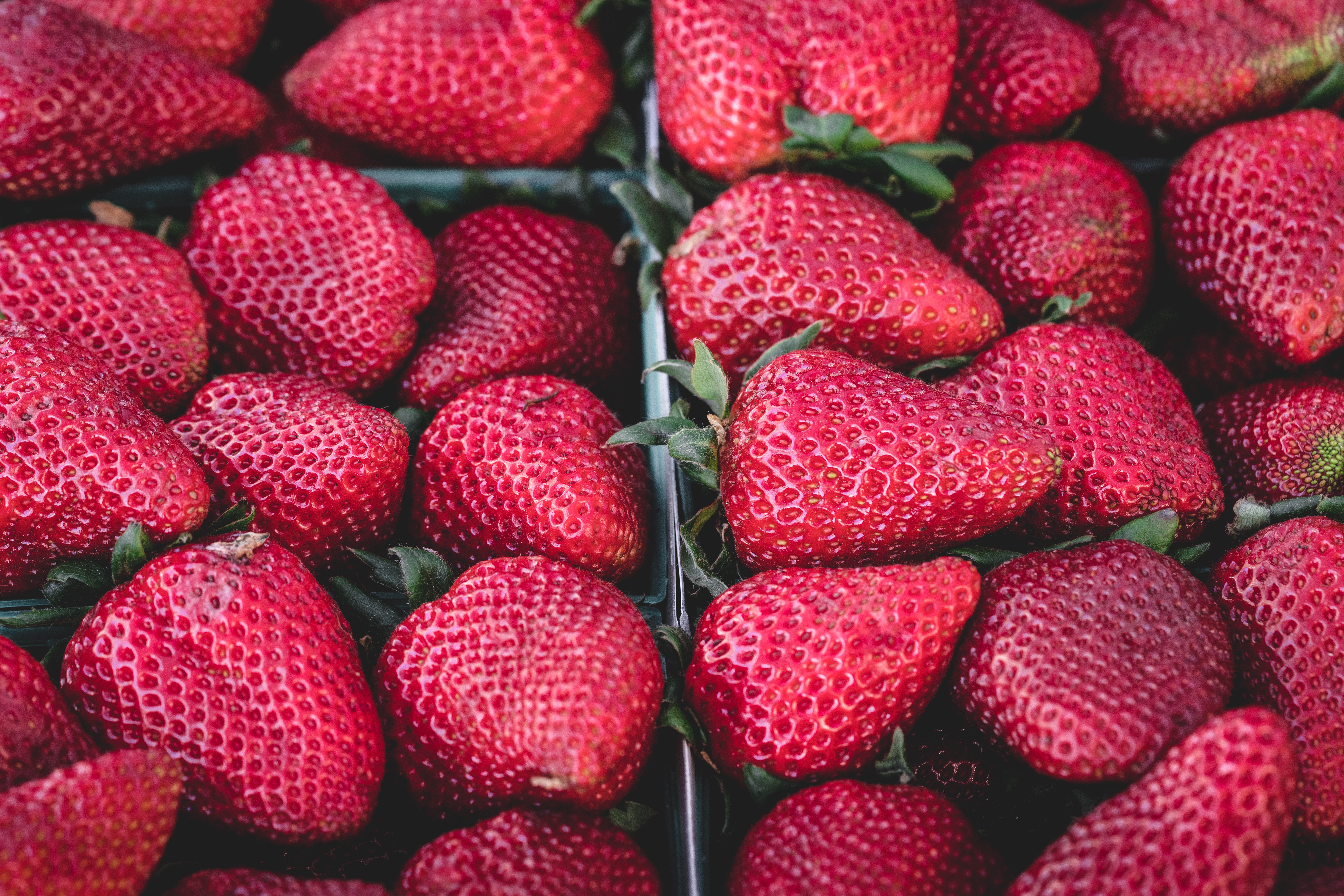 Fresh Organic Strawberries in Containers HD Wallpaper