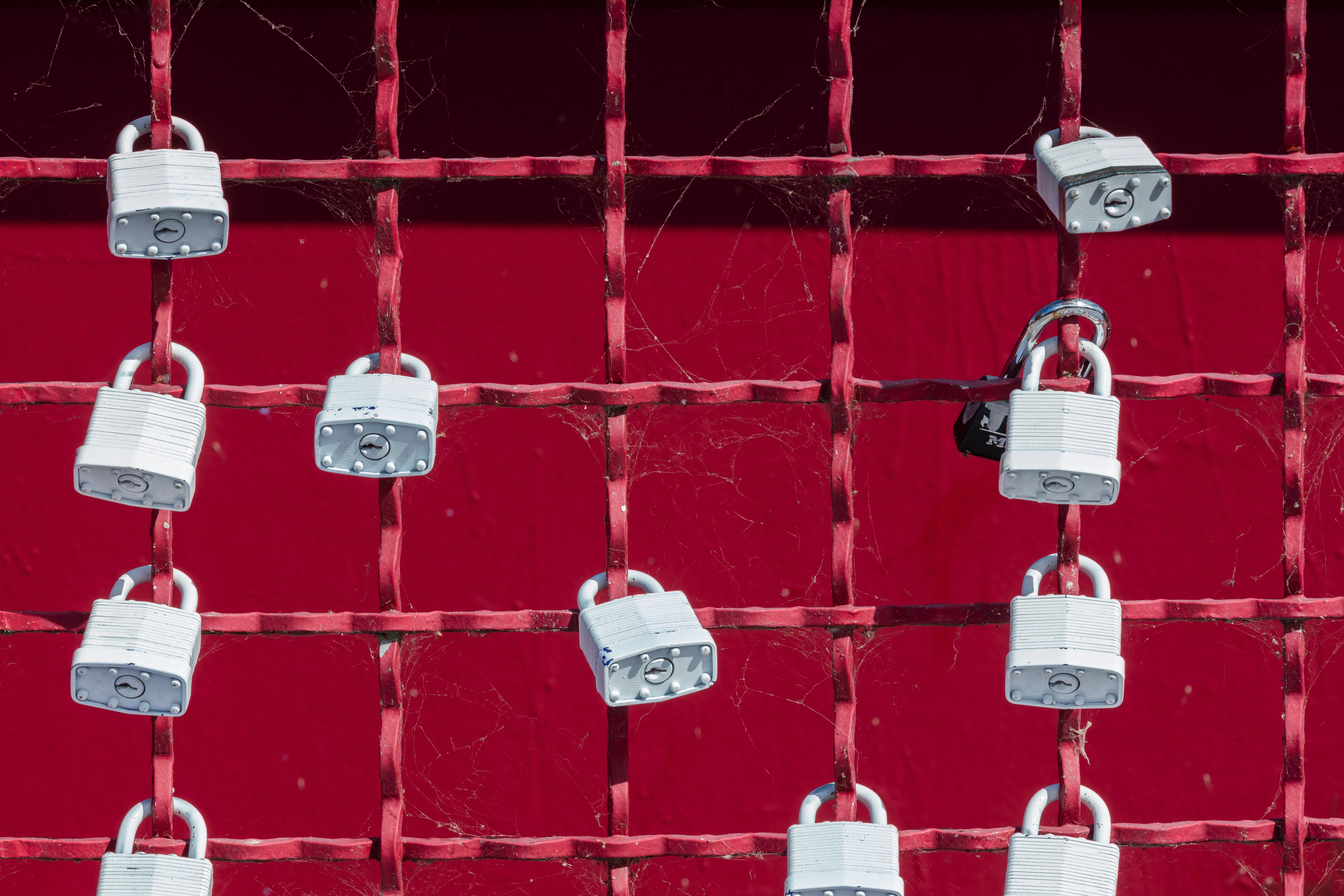 Many padlocks attached to a red metal fence HD Wallpaper