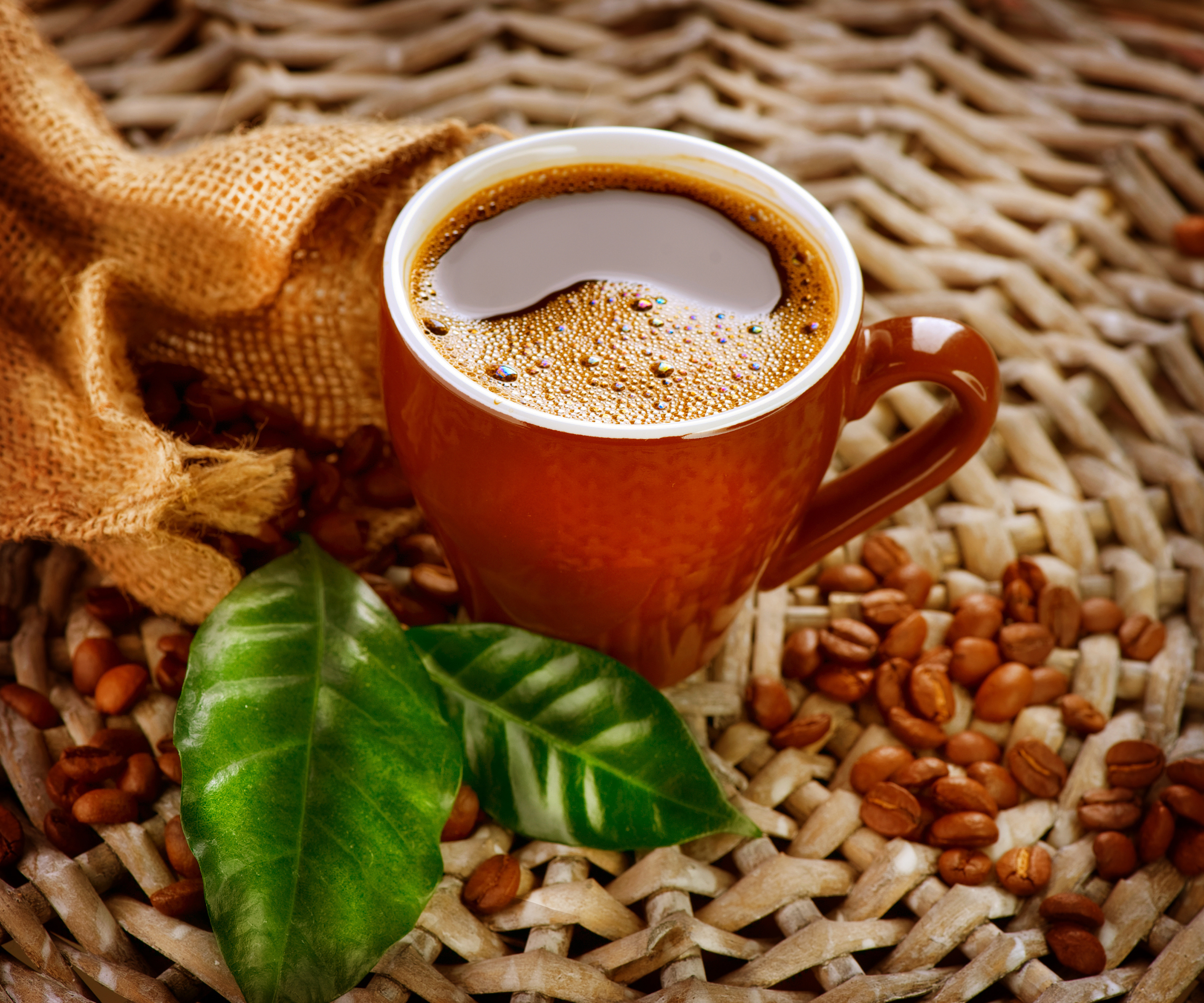 Cup of Coffee with Beans and Leaves HD Wallpaper