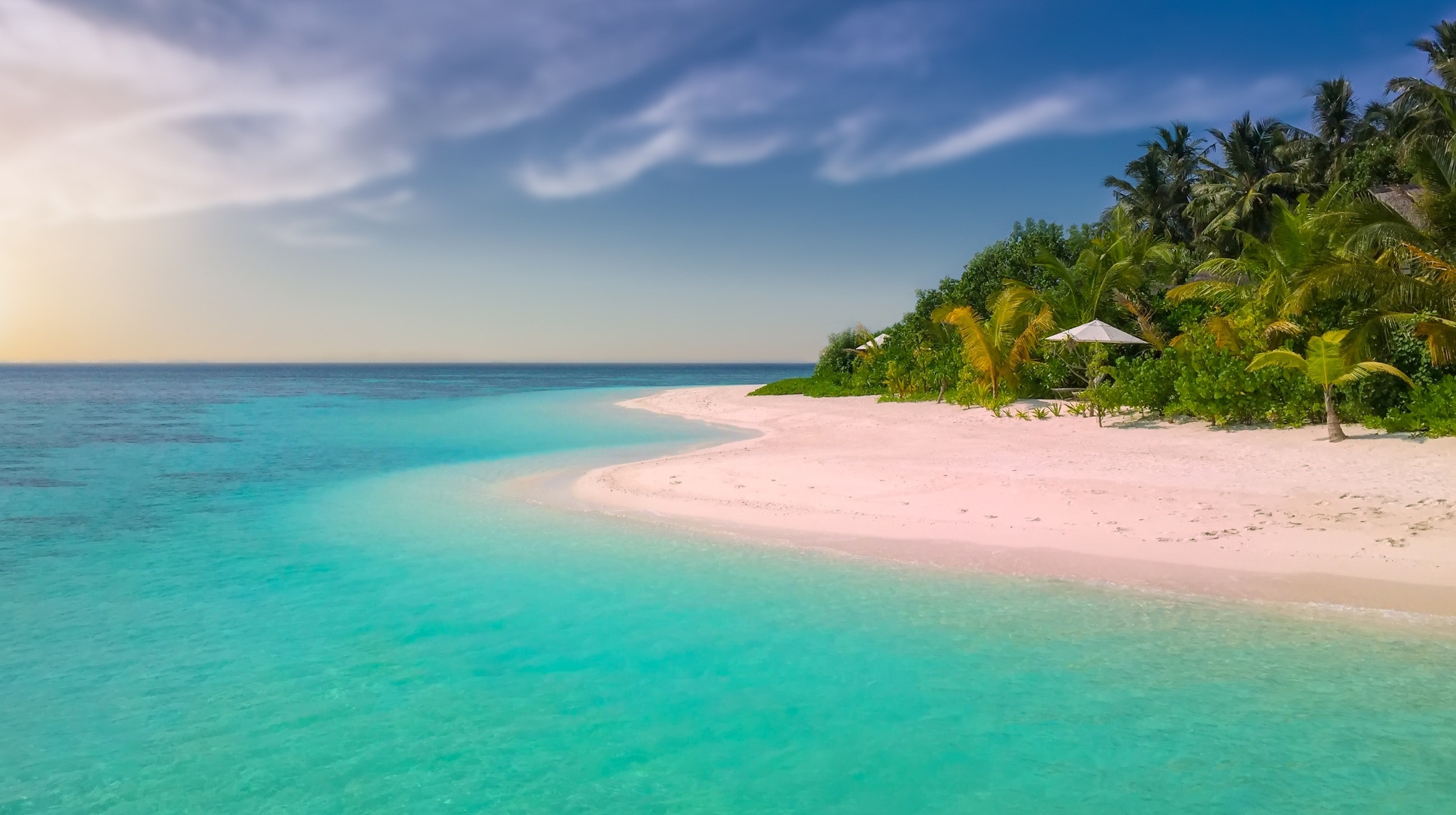 Tropical beach with turquoise ocean and palm trees HD Wallpaper