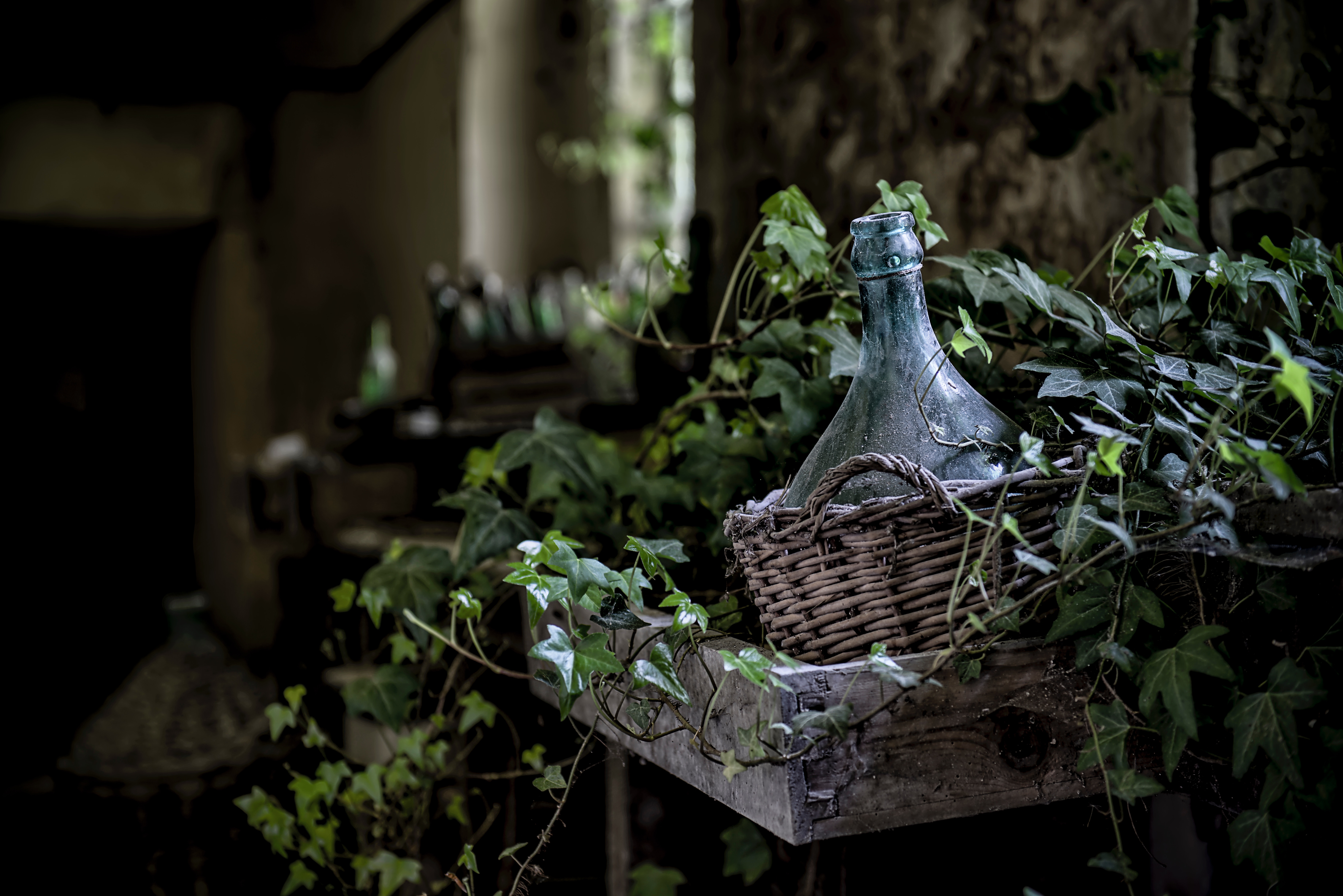Rustic Wine Bottle and Ivy on Wooden Shelf HD Wallpaper