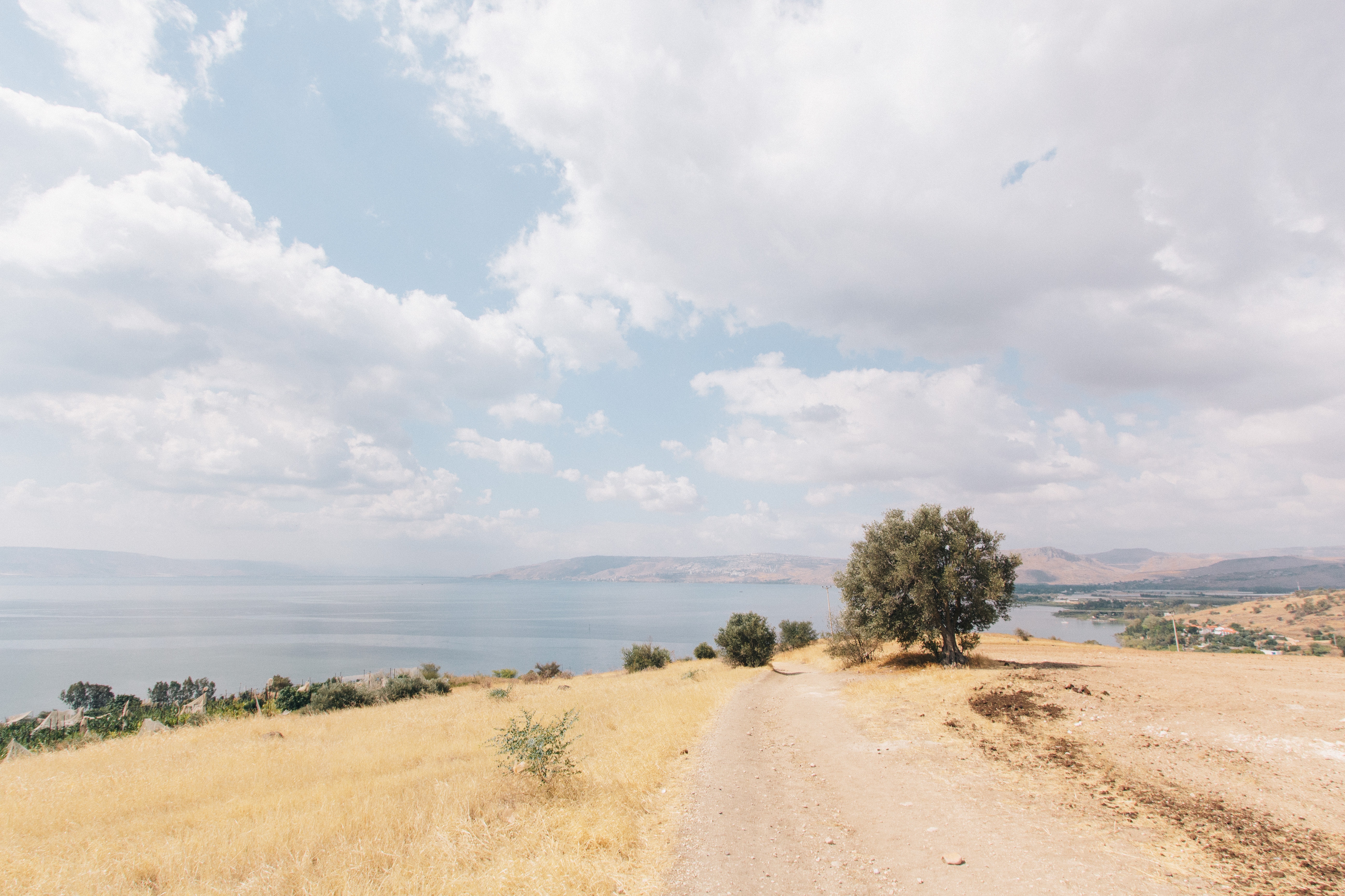 Path leading to the Sea of Galilee in Israel HD Wallpaper