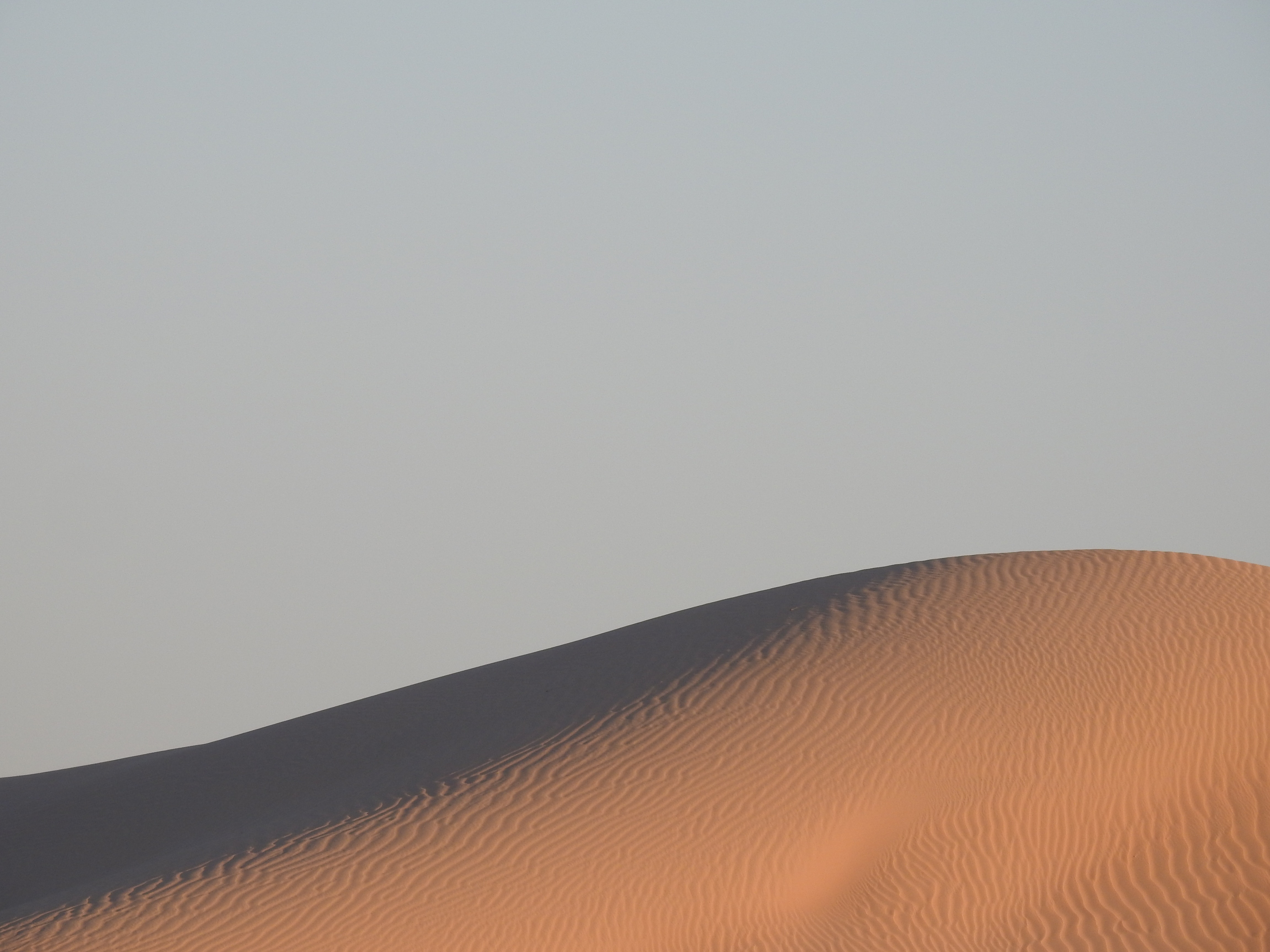 Sand dunes in Liwa, United Arab Emirates HD Wallpaper