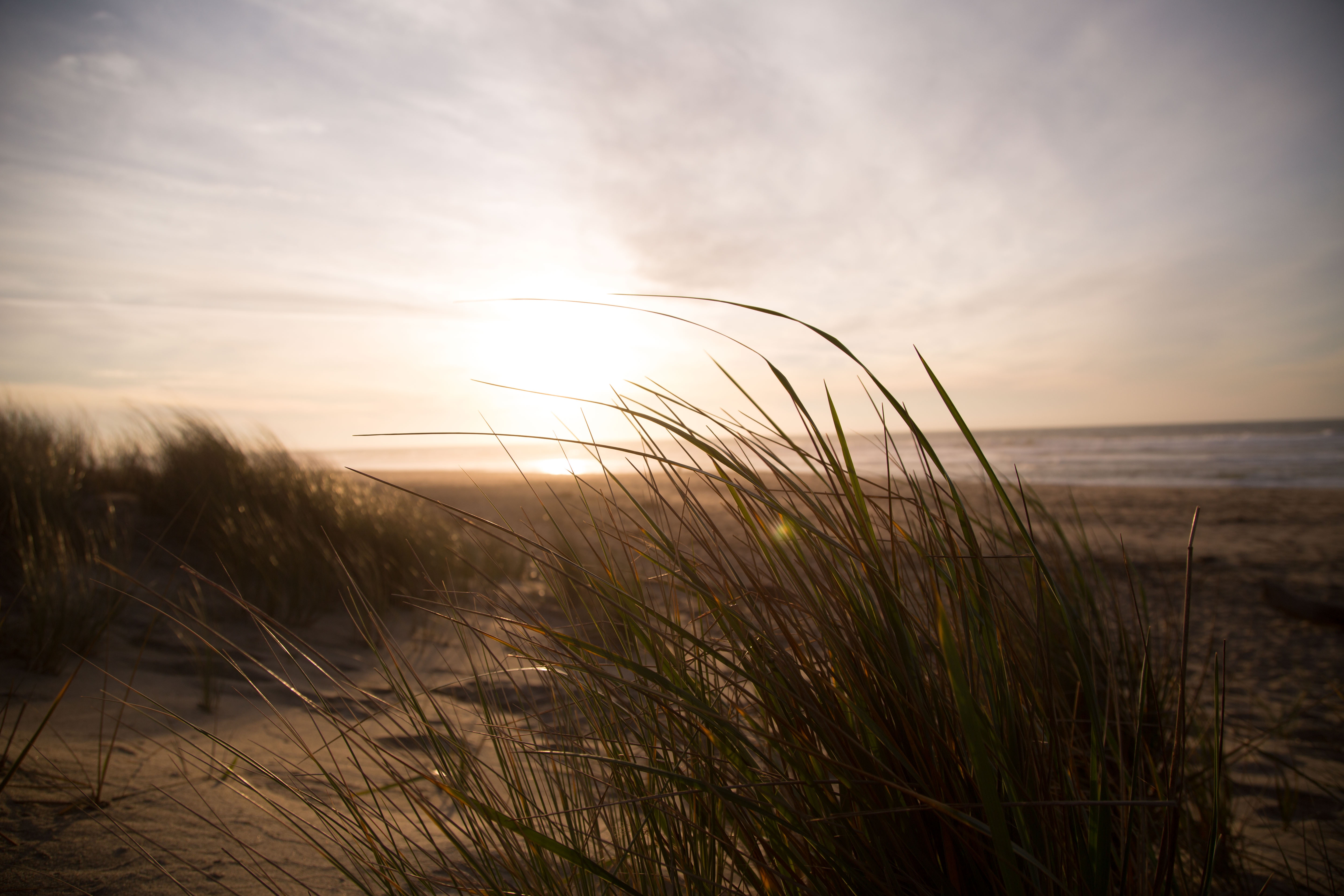 Sunset over the ocean with grass in the foreground HD Wallpaper