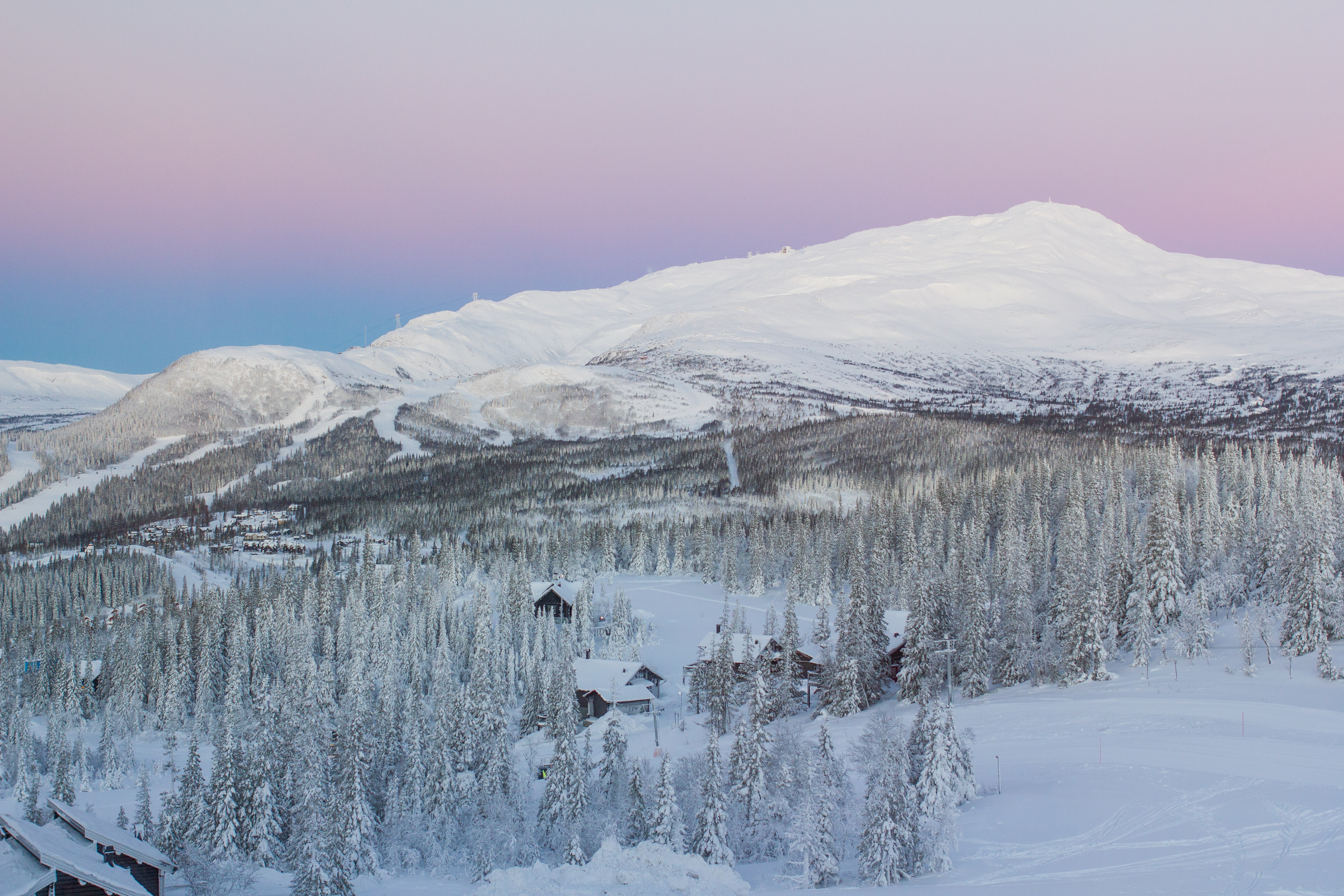 Snowy mountain village with evergreen forest and pink sky HD Wallpaper