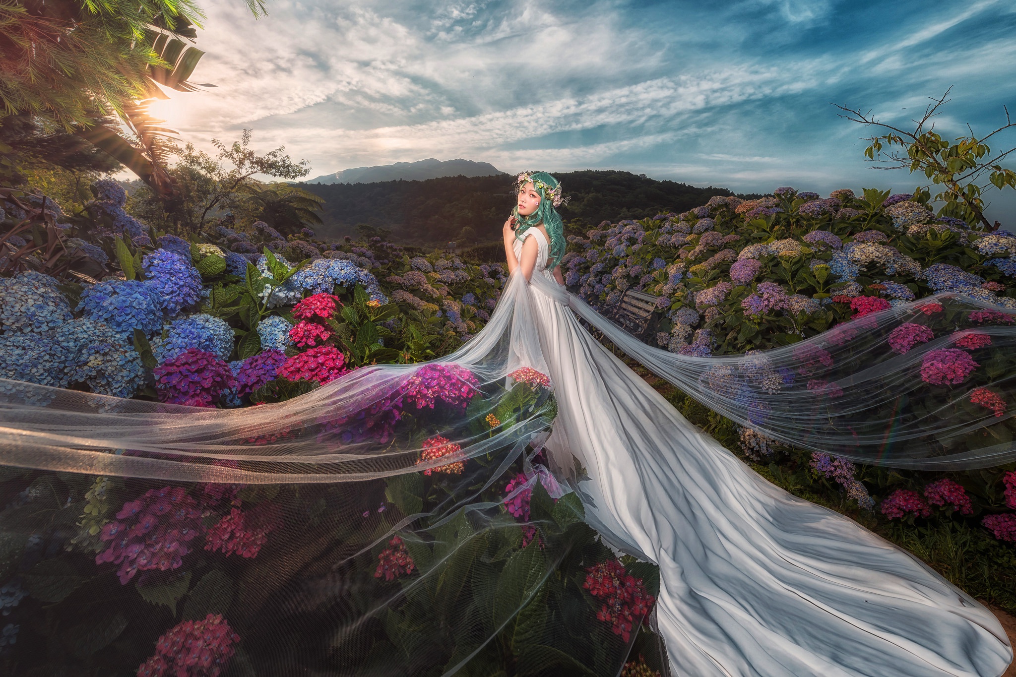 Woman in white dress in hydrangea garden HD Wallpaper