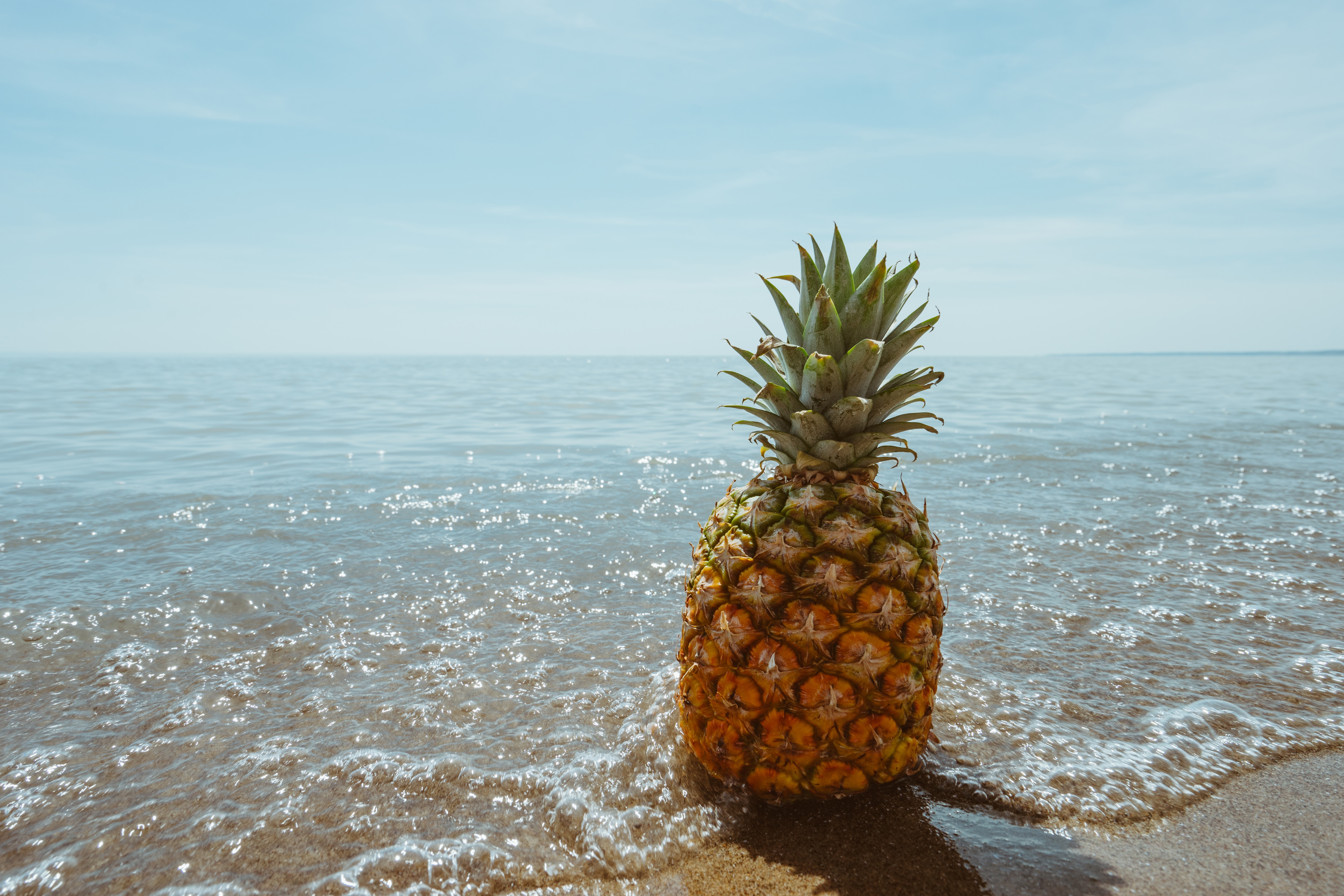 Pineapple on a sandy beach by the ocean HD Wallpaper