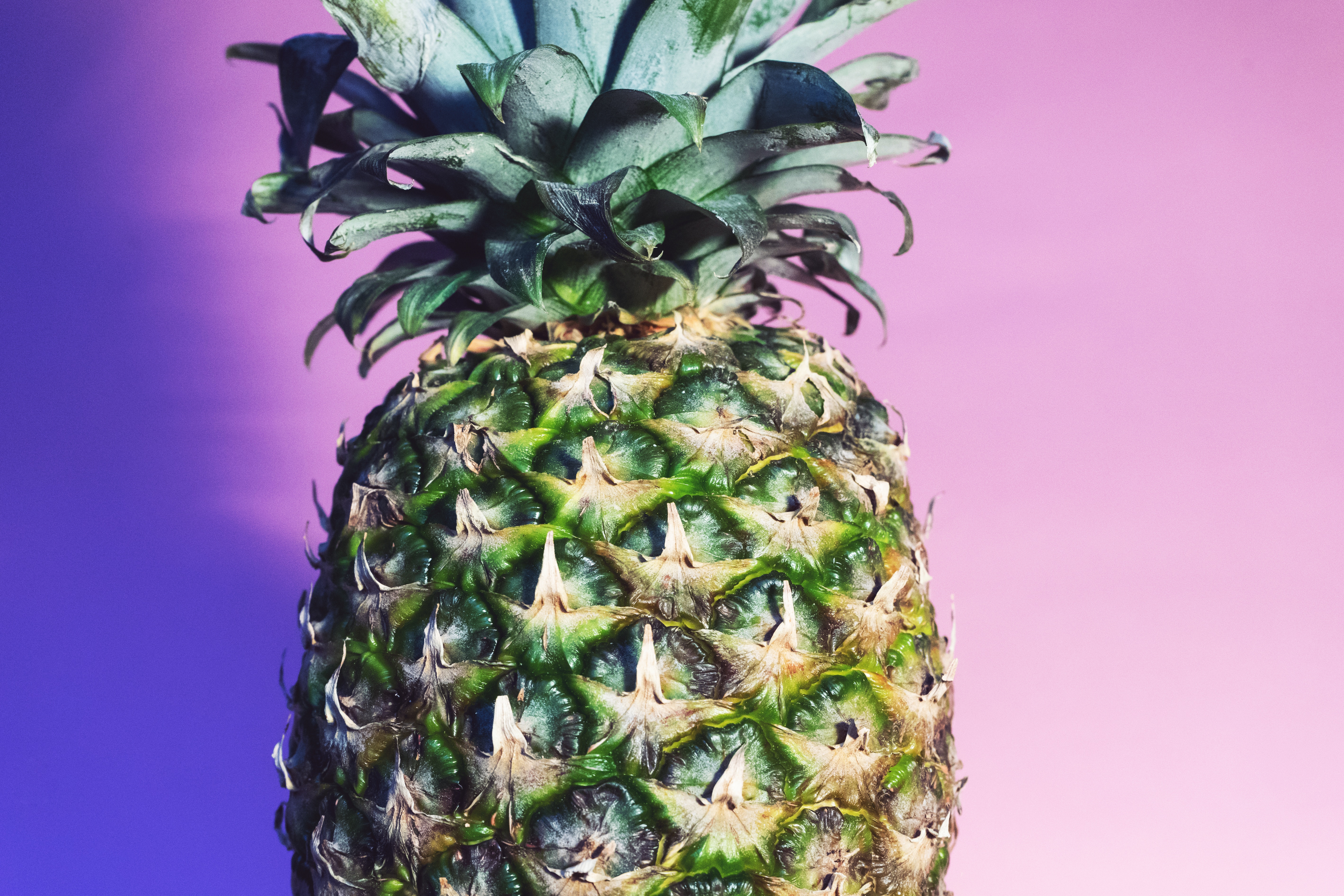 Close-up of a pineapple on a pink and purple ombre background HD Wallpaper