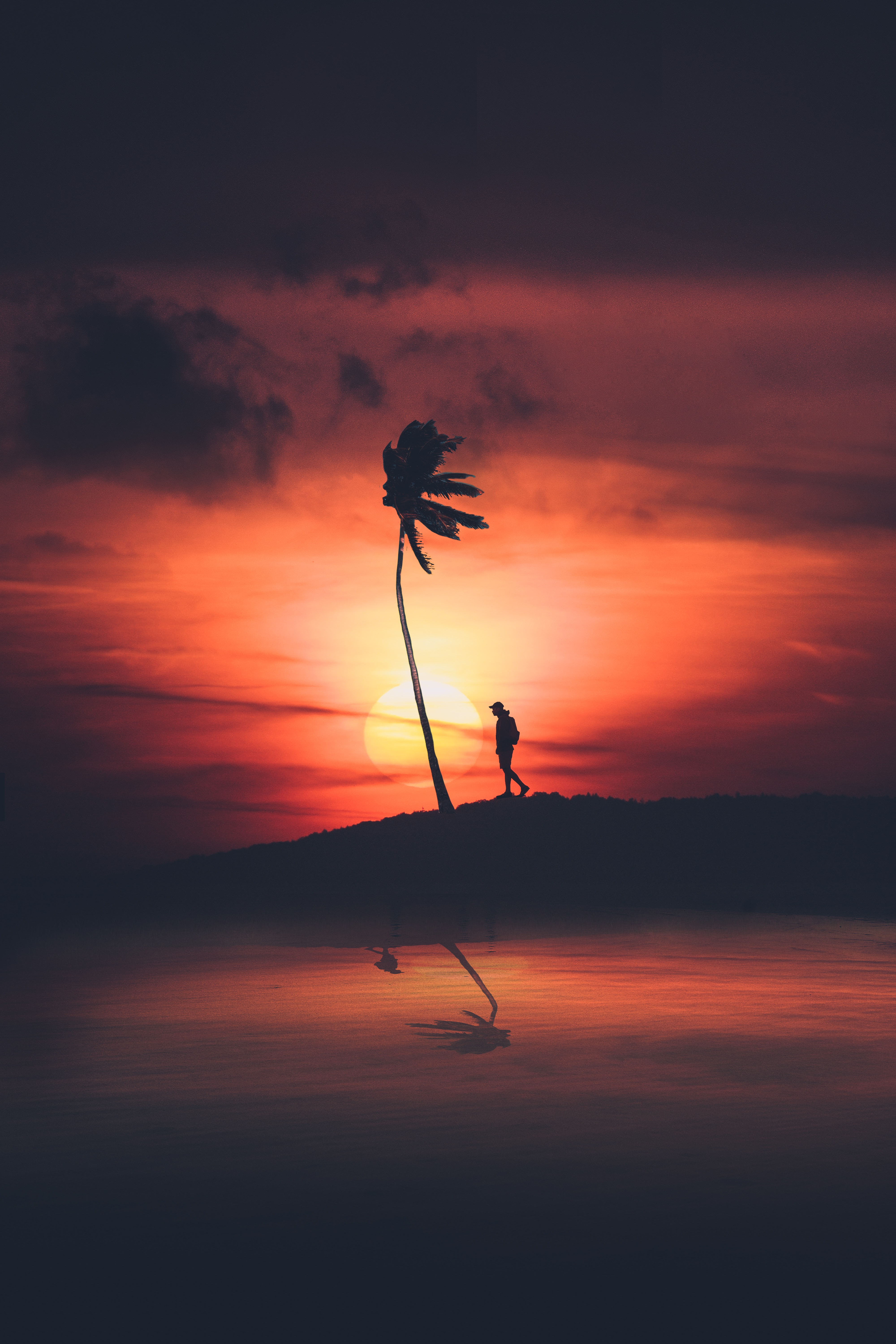 Silhouette of a person and palm tree at sunset HD Wallpaper