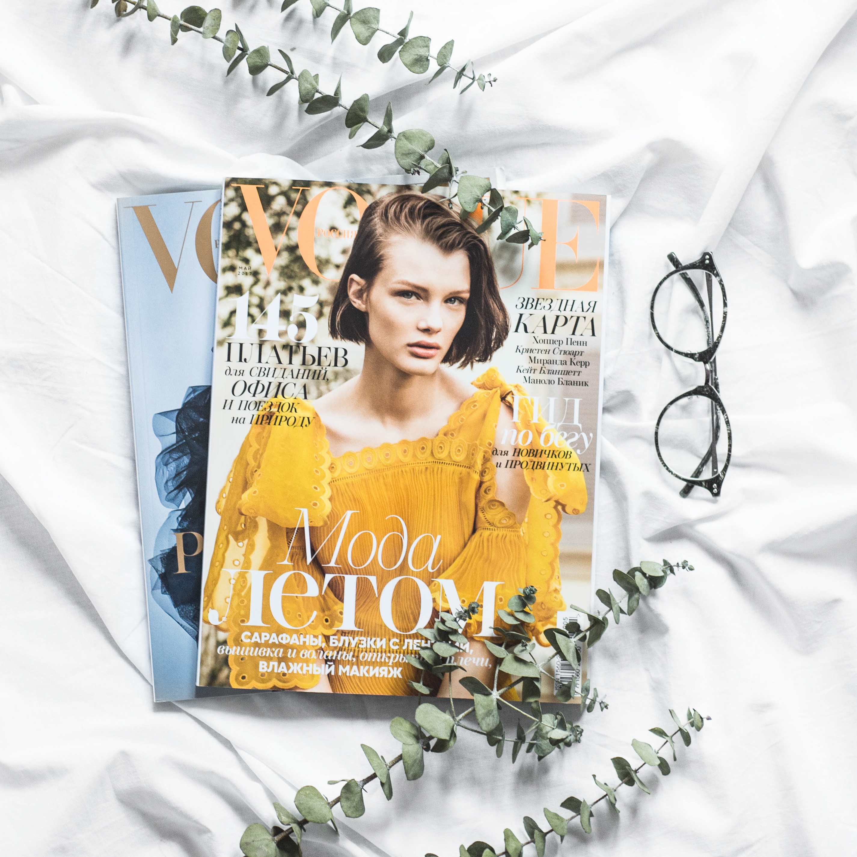 Vogue Magazine with Glasses and Eucalyptus HD Wallpaper