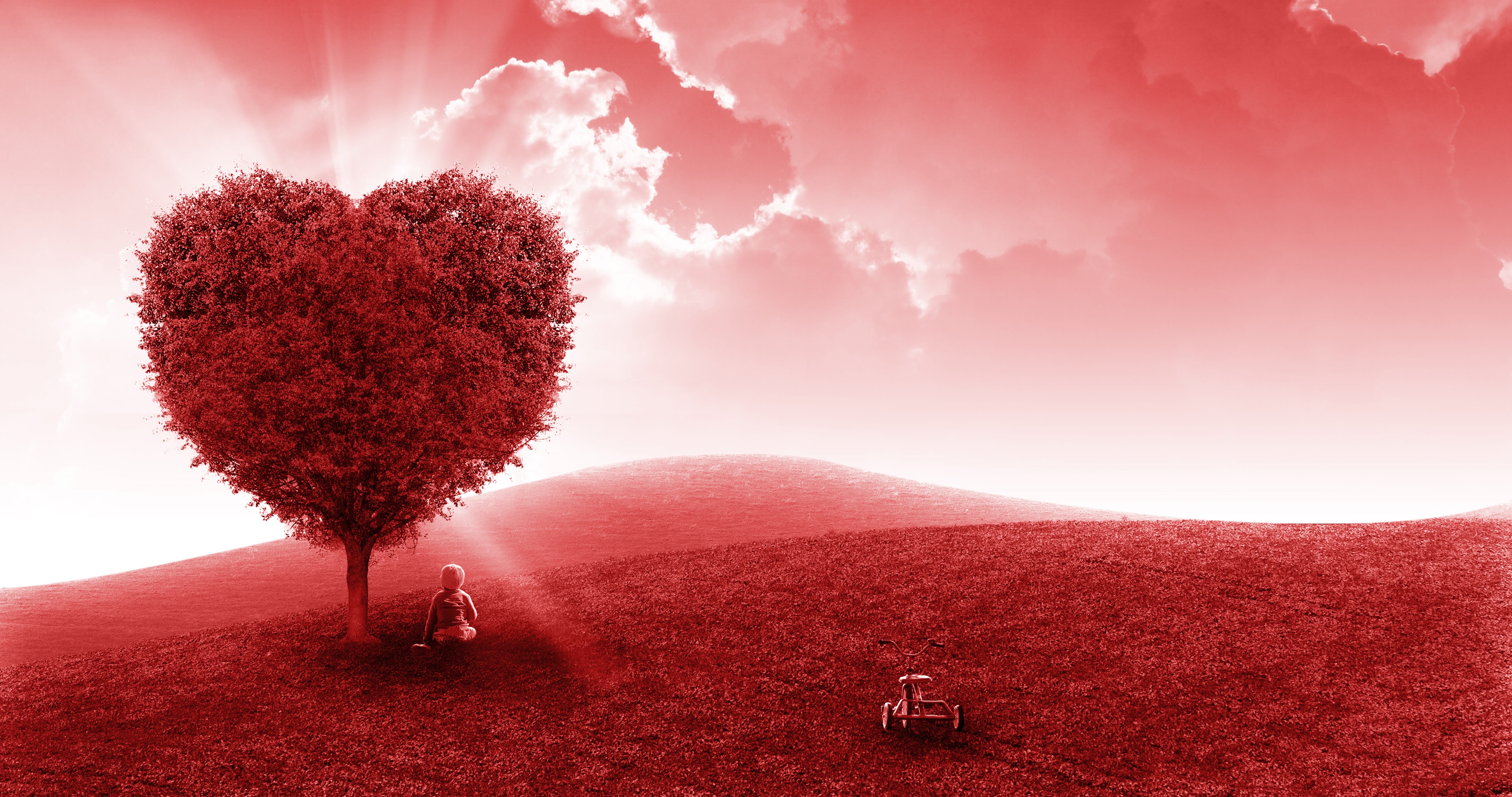 4K Heart Tree Landscape with Kid and Toy Car HD Wallpaper