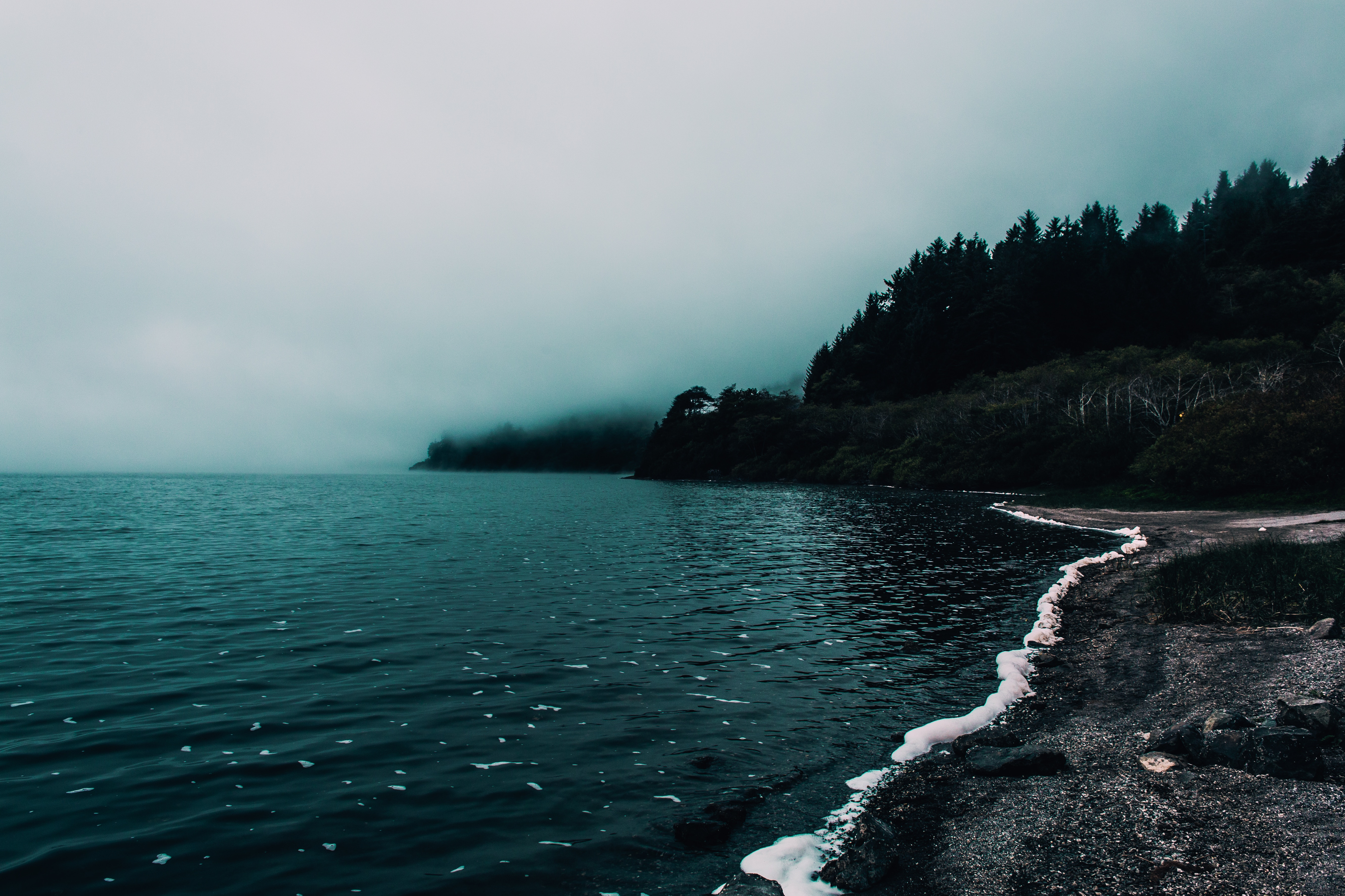 Gloomy foggy coast with dark forest and ocean HD Wallpaper