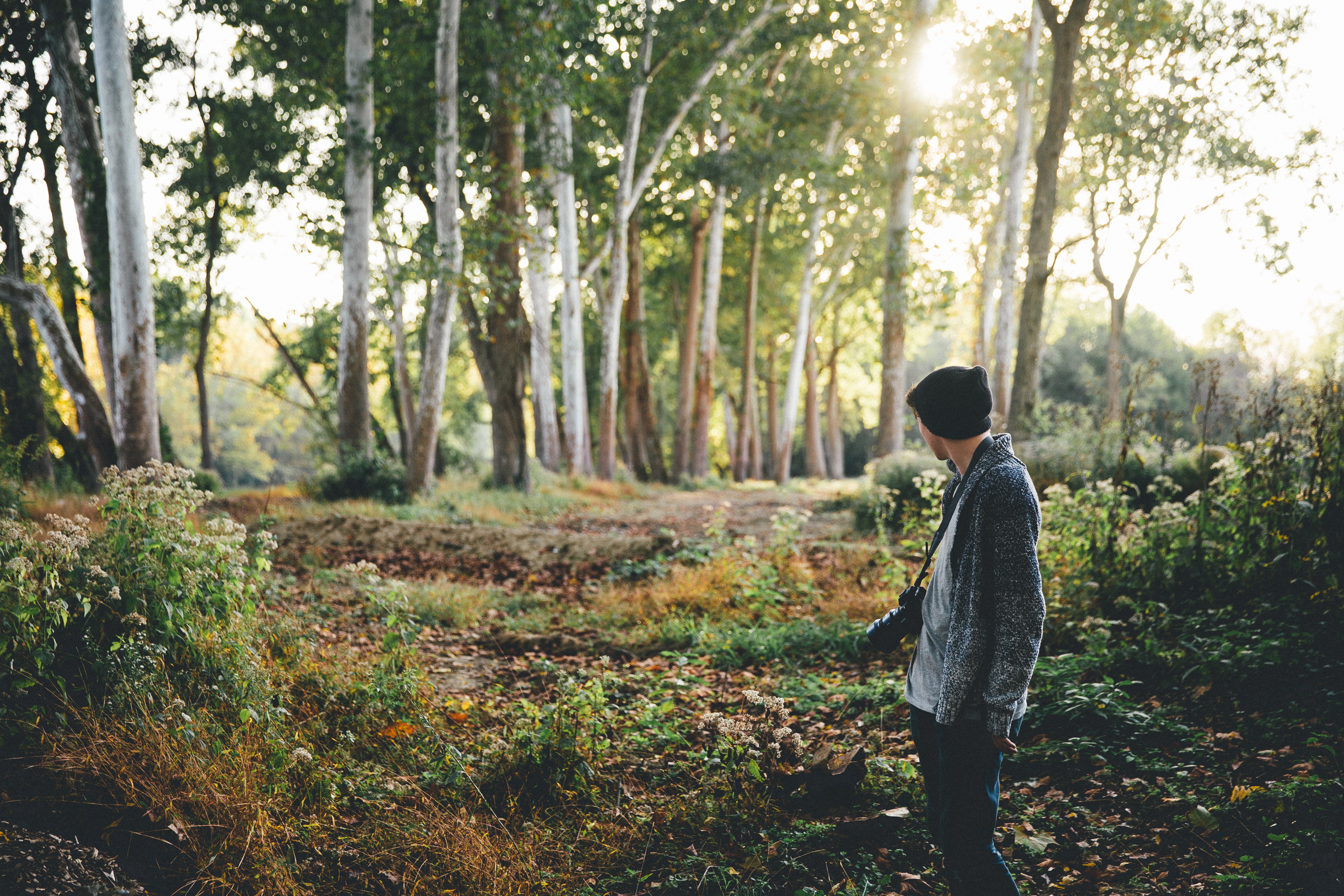 Photographer with camera in a sunlit forest HD Wallpaper