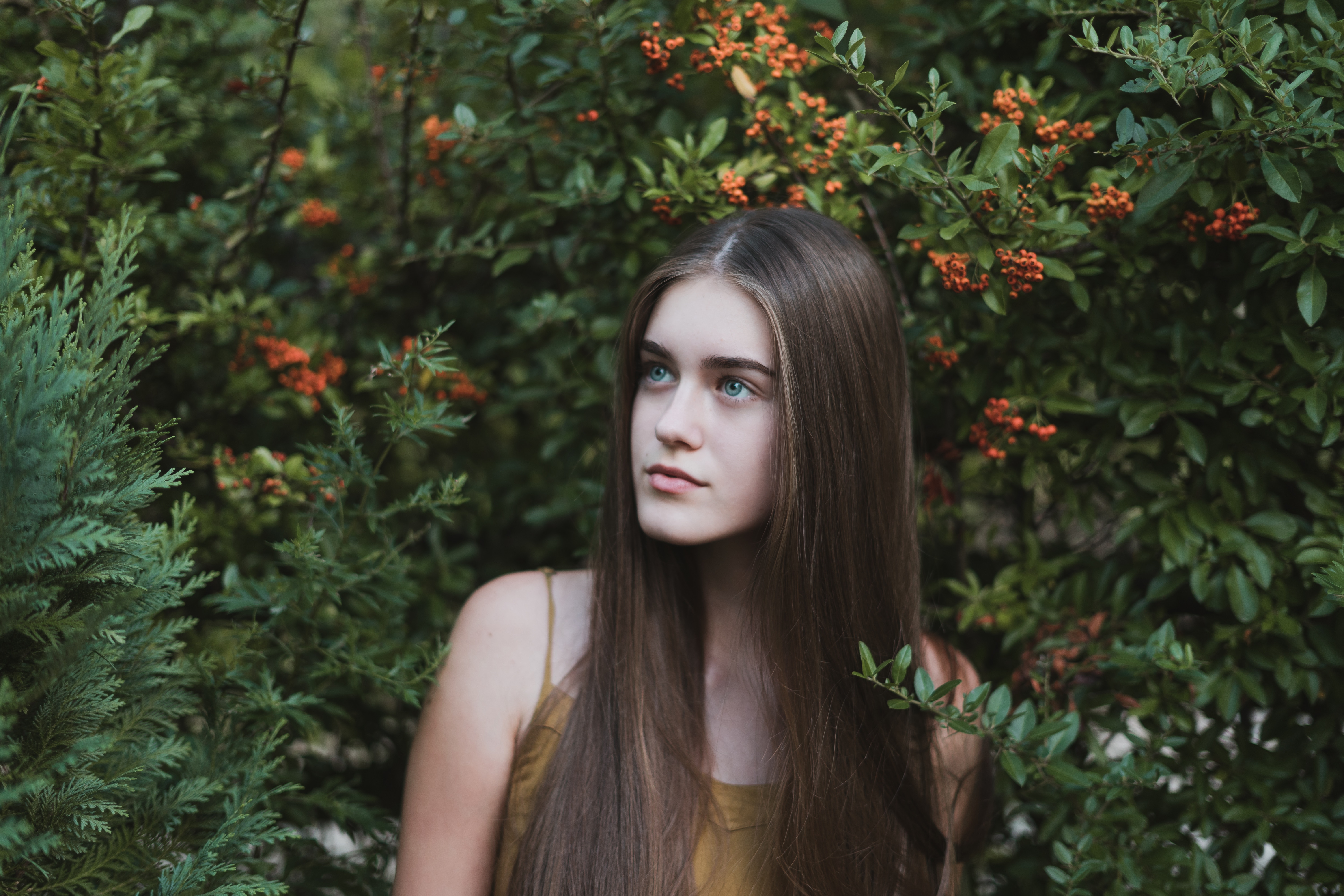 Young woman with long brown hair in foliage HD Wallpaper