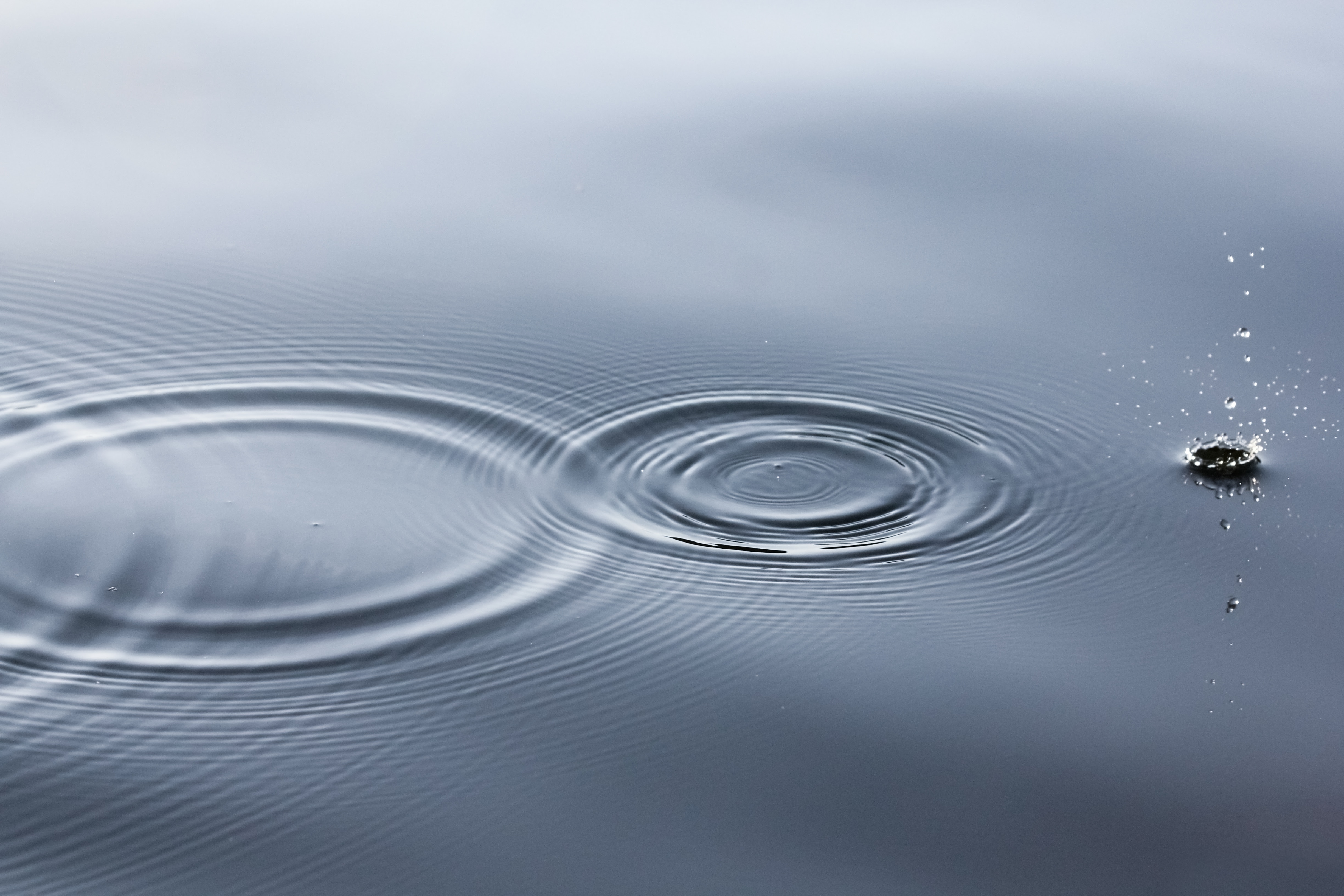 Ripples and Splash on Calm Water Surface HD Wallpaper