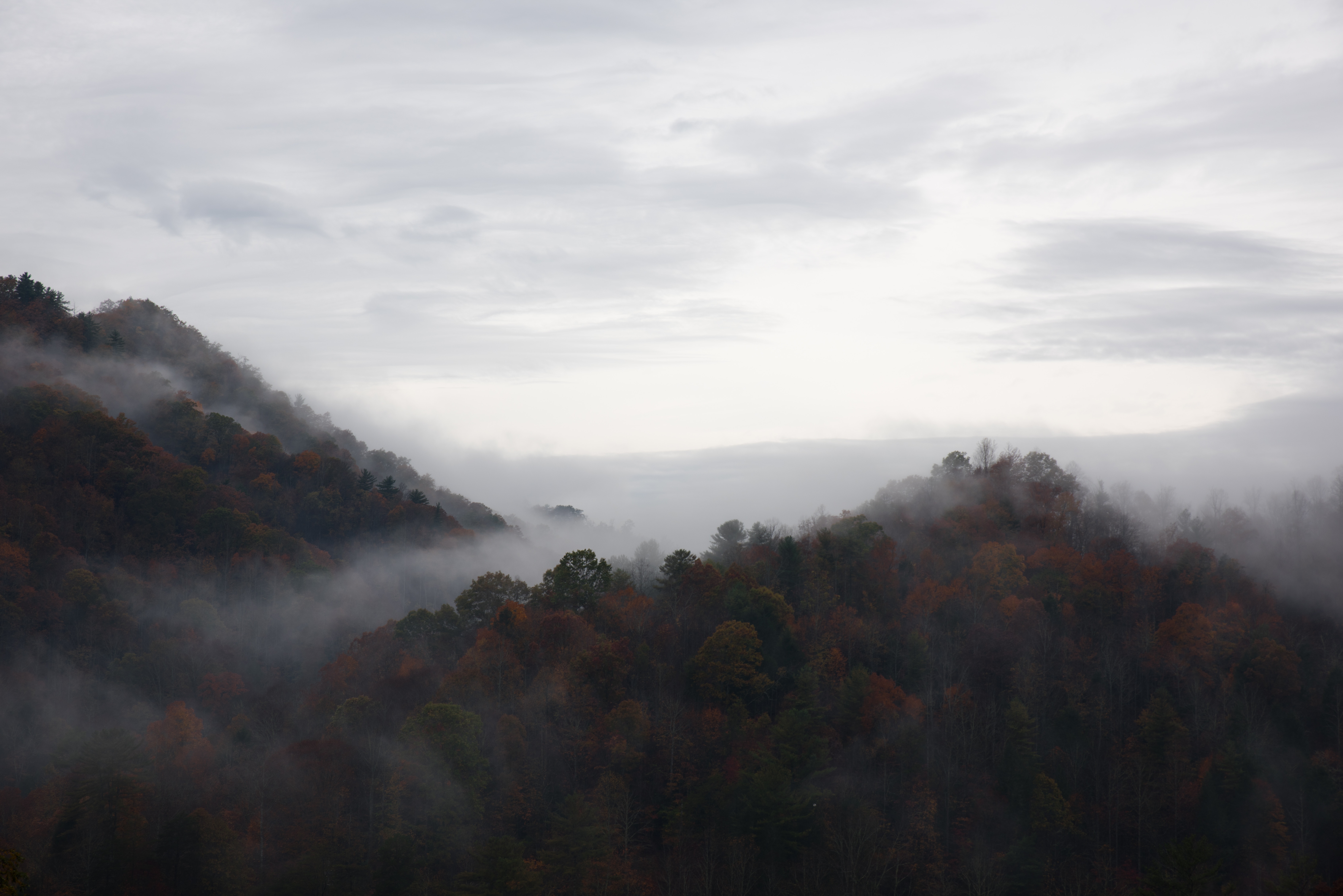 Misty Mountains in Autumn HD Wallpaper