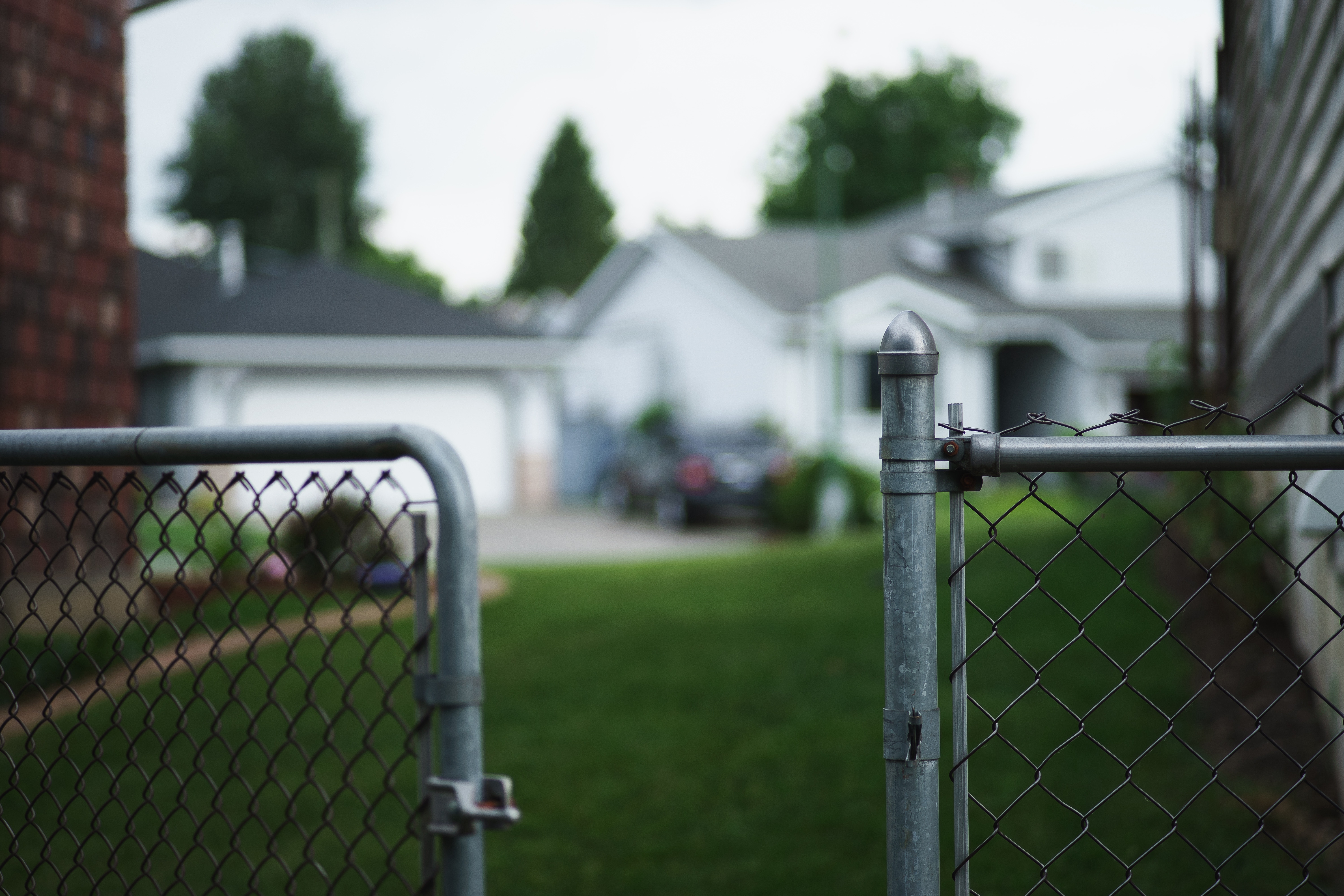 Chain link fence gate in a suburban yard HD Wallpaper