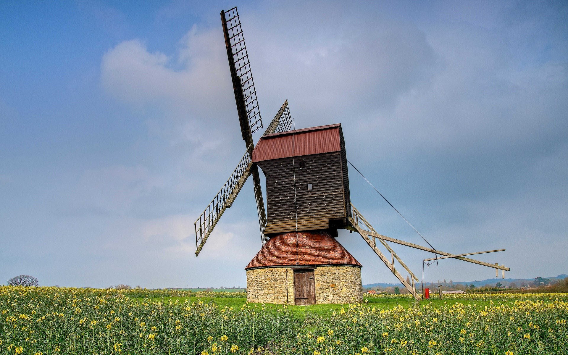 Windmill in a field of yellow flowers HD Wallpaper