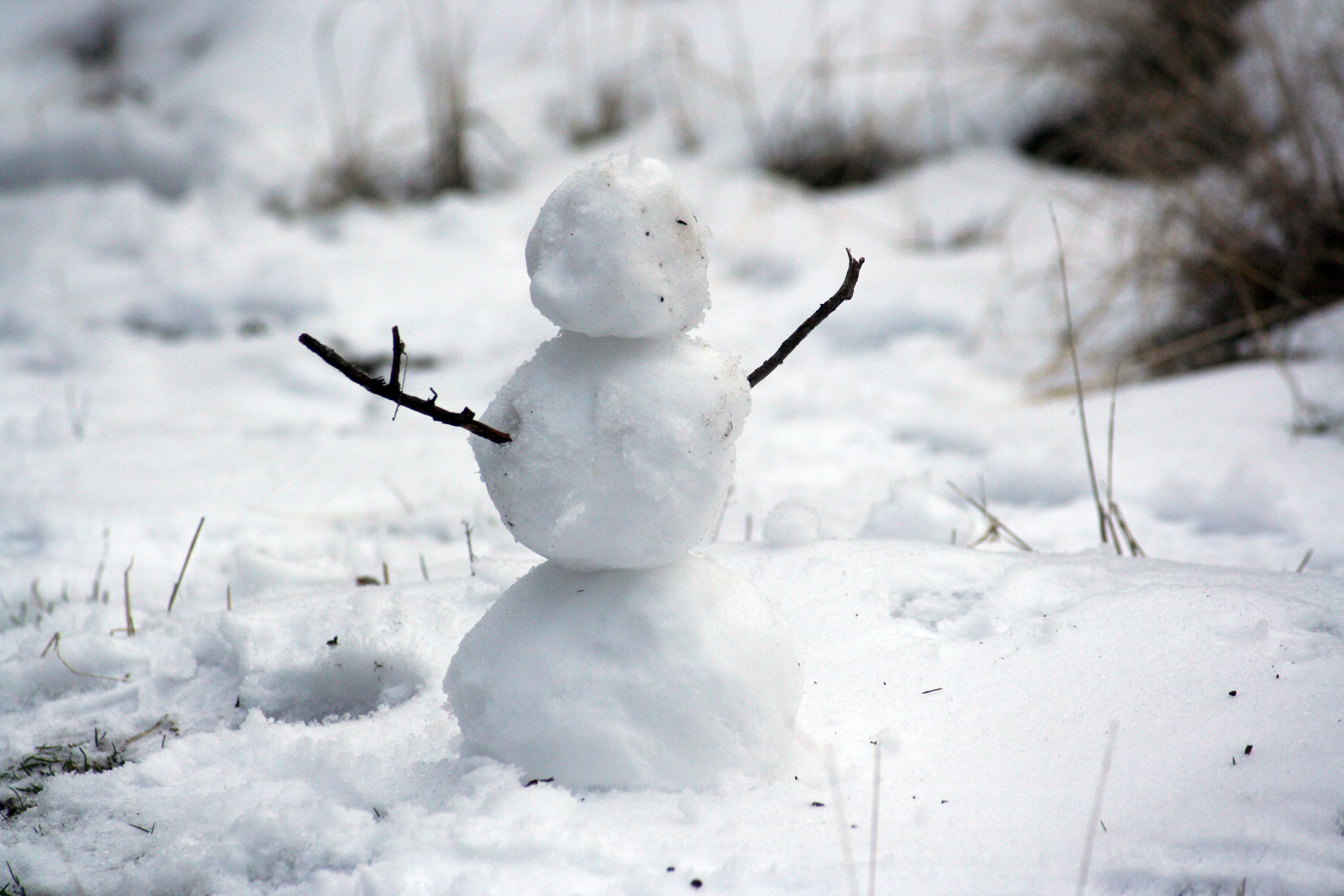 Snowman in a snowy field with branches HD Wallpaper