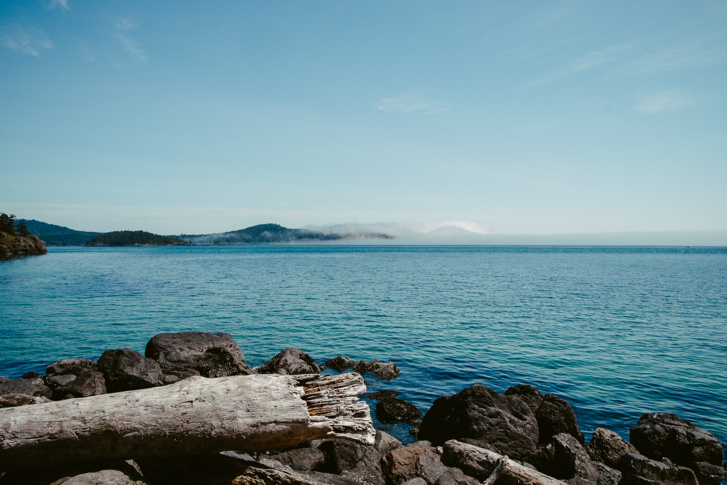 Driftwood and rocks on the shore with a misty ocean horizon HD Wallpaper
