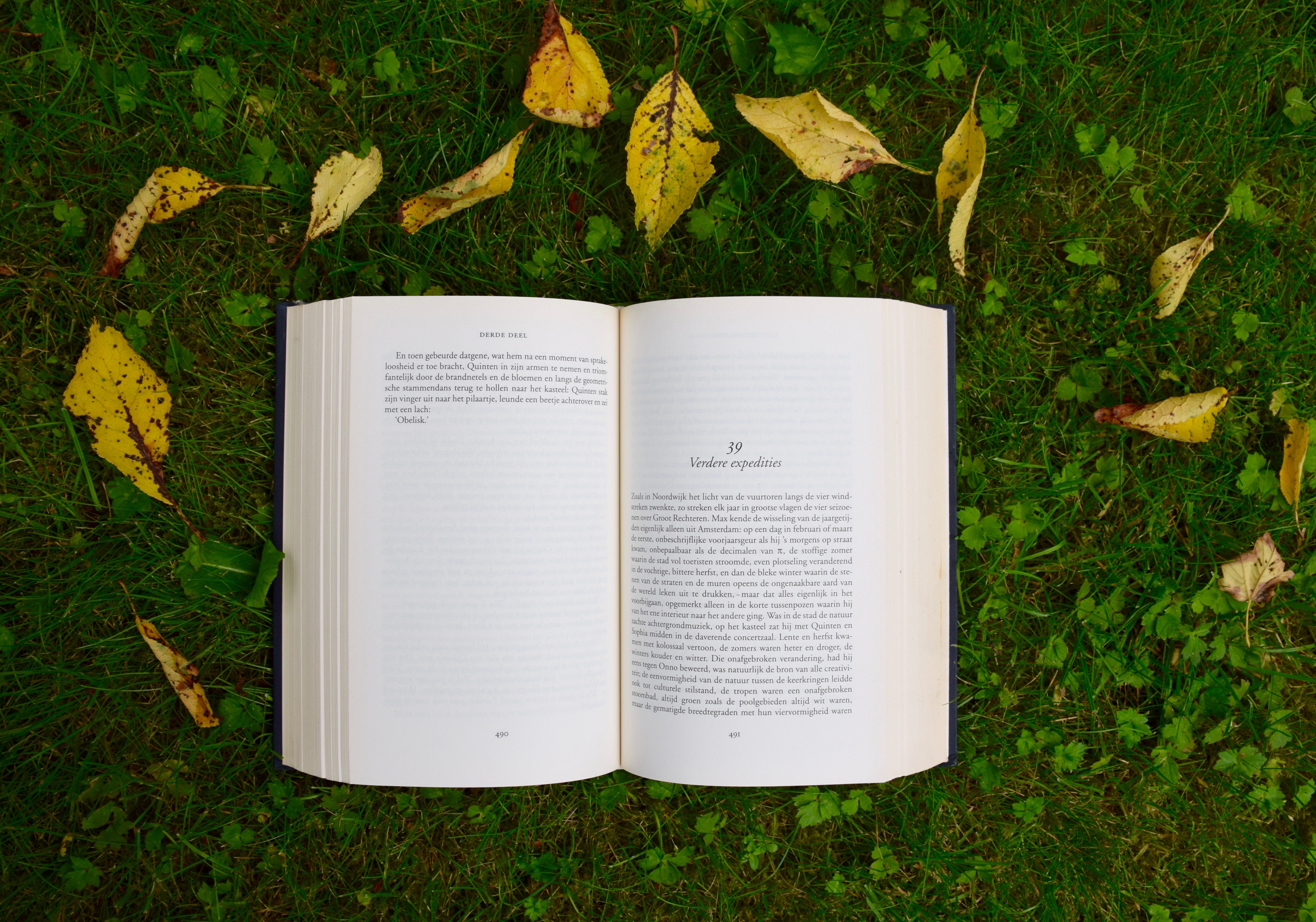 Open book on grass with autumn leaves HD Wallpaper