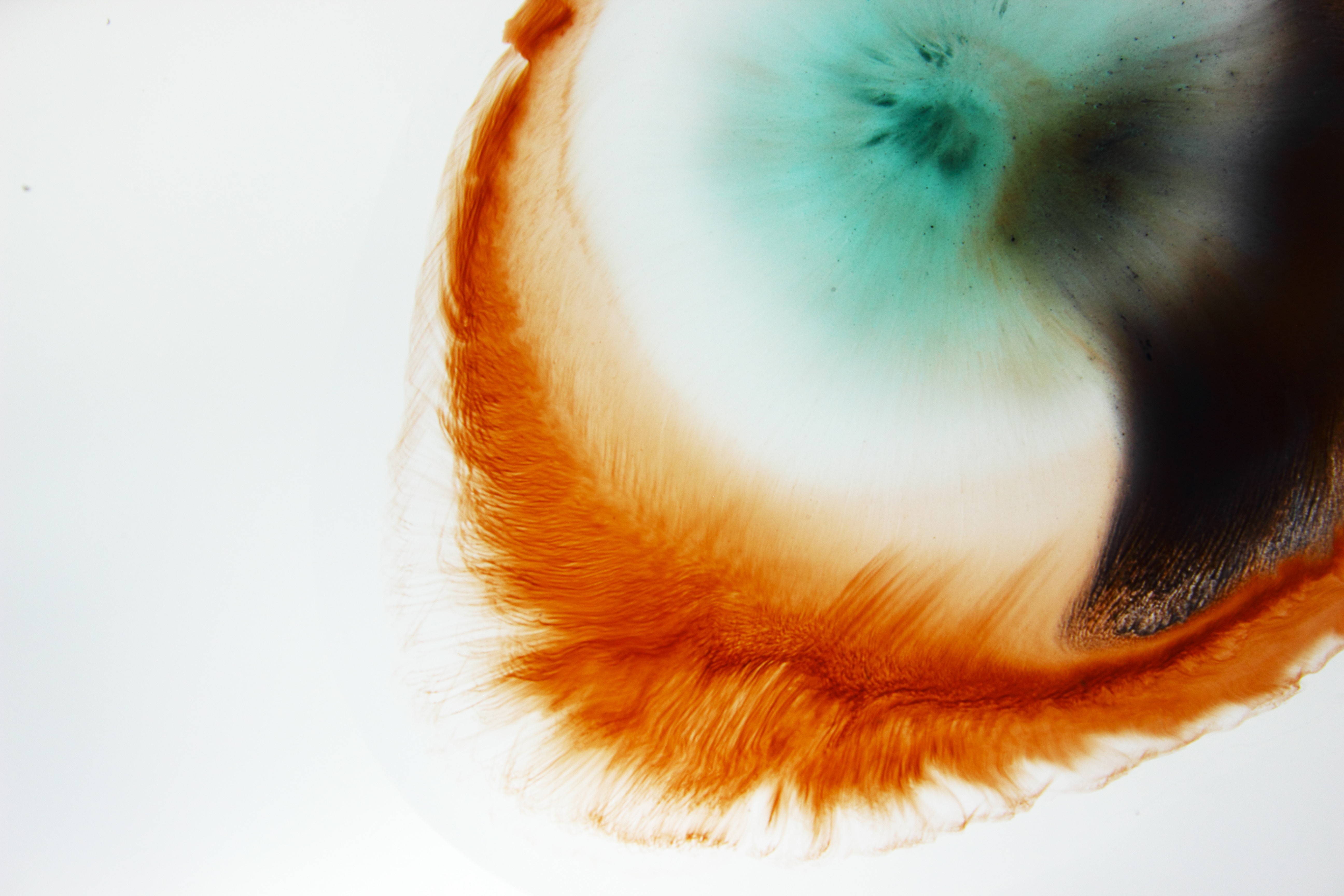 Abstract orange and green fluid art HD Wallpaper