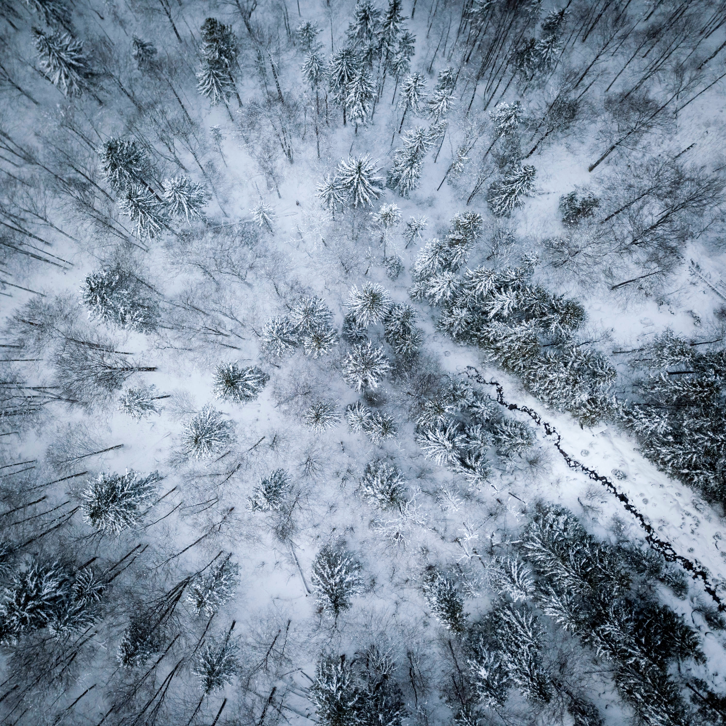 Aerial view of a snowy forest with a river in Austria HD Wallpaper