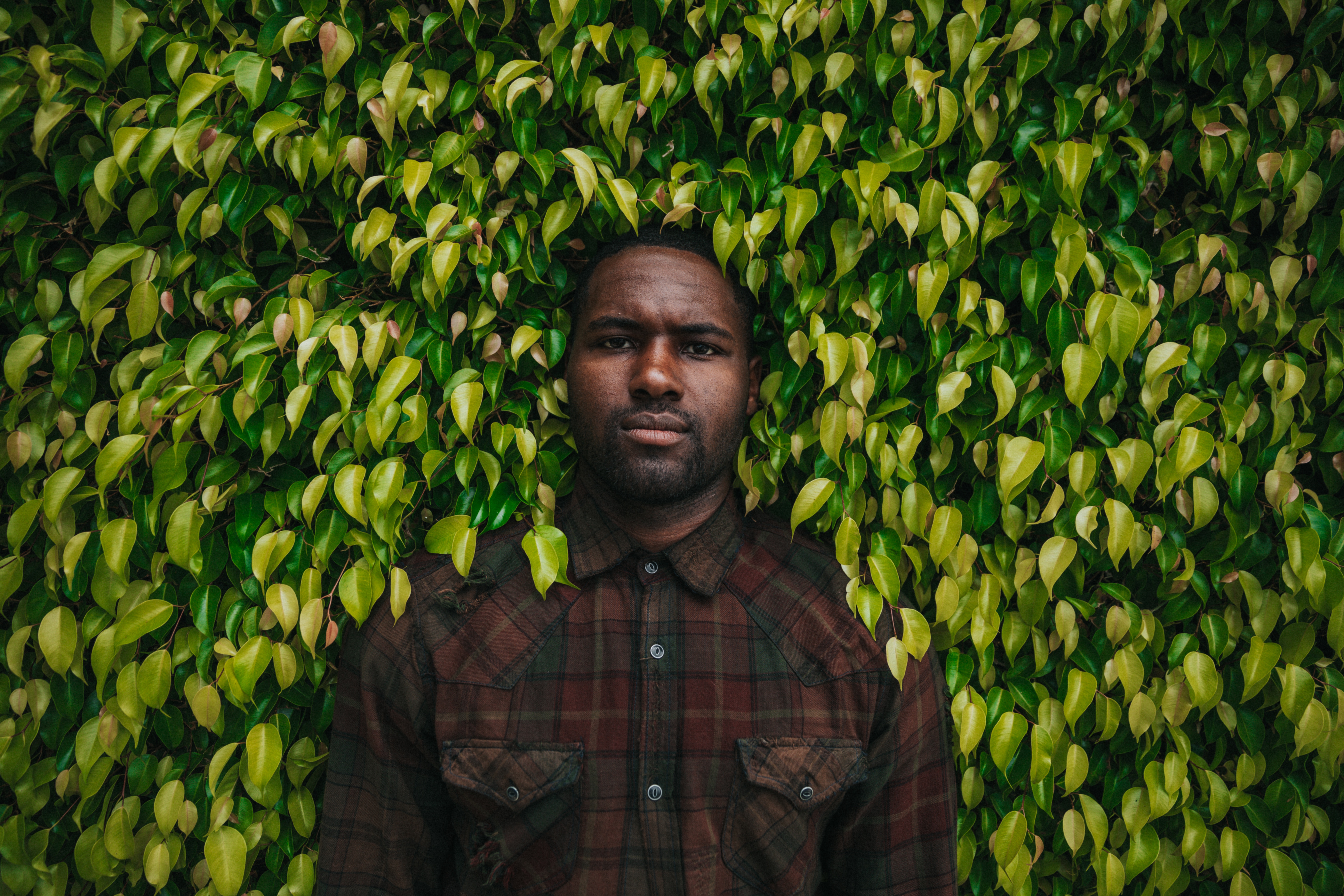 Man in Plaid Shirt Against Green Leaves HD Wallpaper