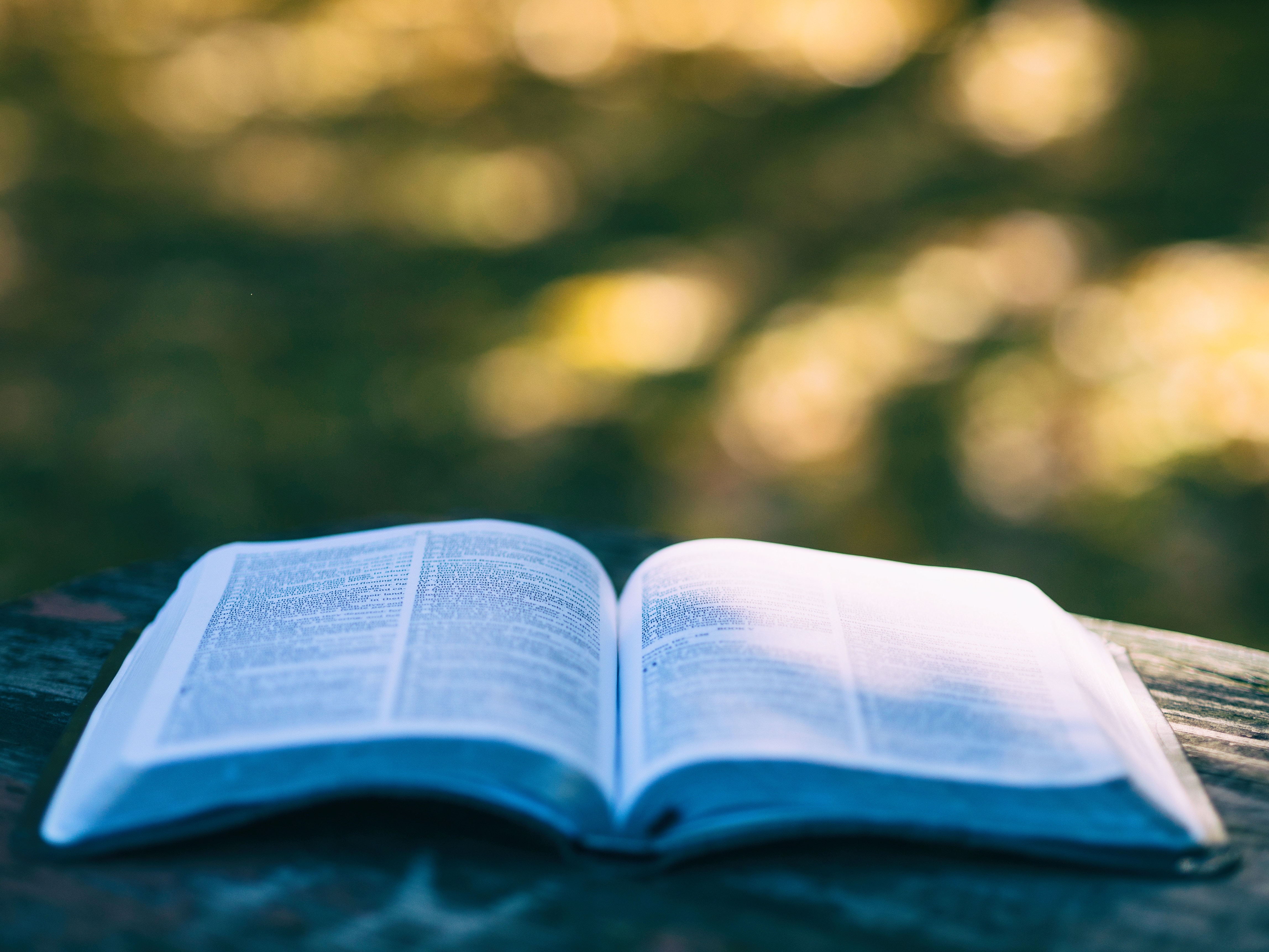 Open Bible on a wooden table outdoors HD Wallpaper