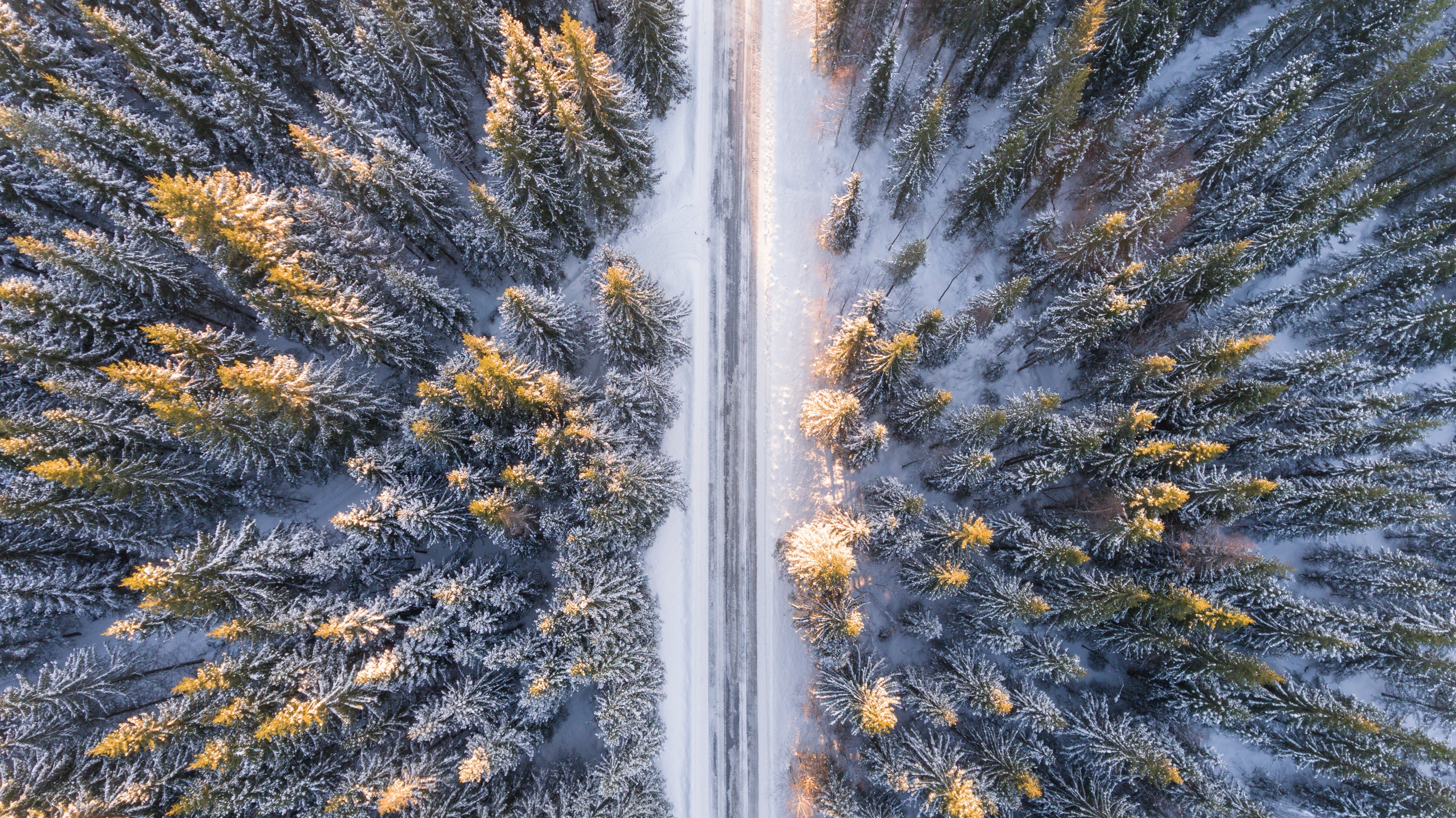 Aerial view of a snow-covered forest road HD Wallpaper