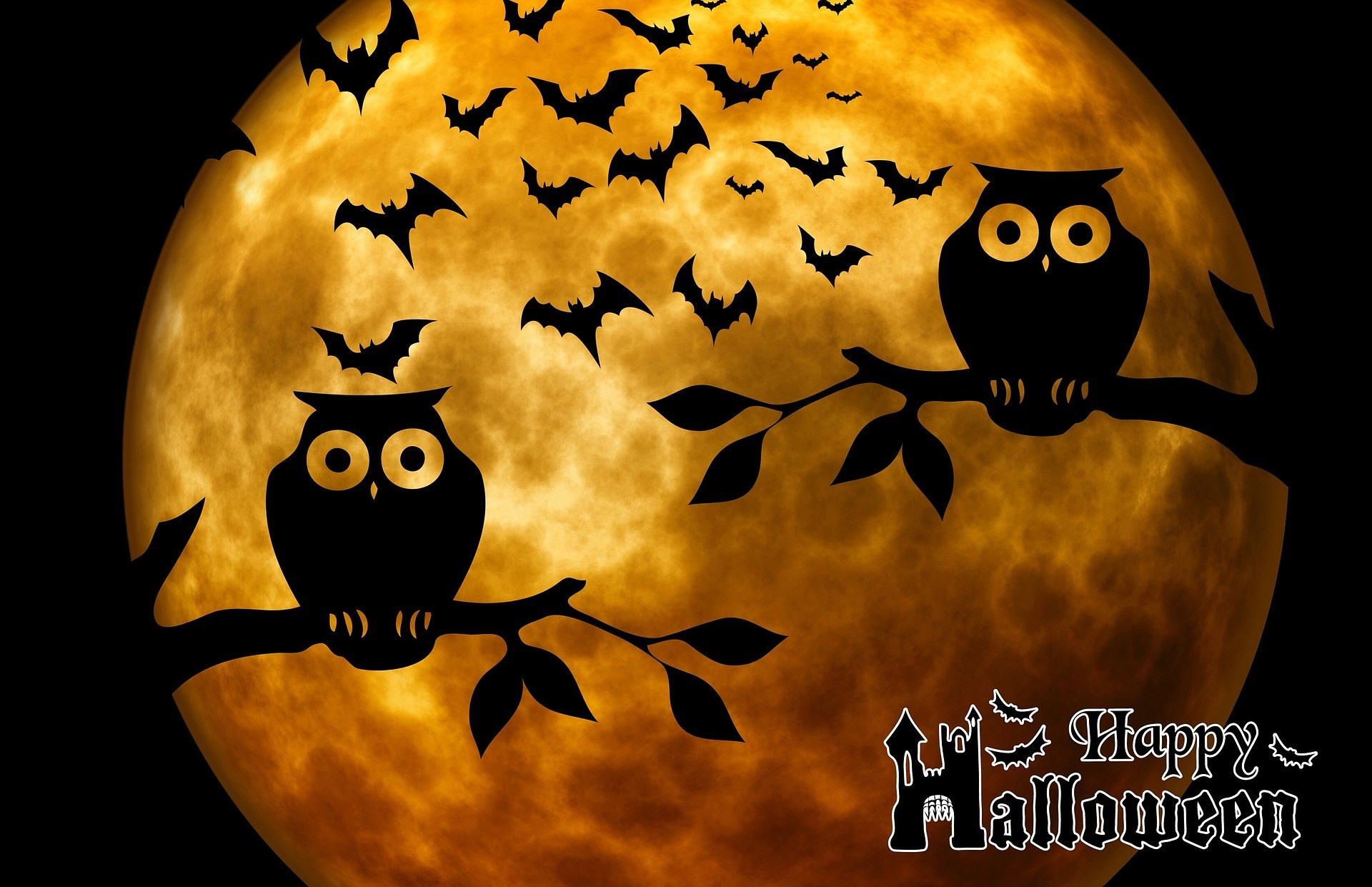 Halloween night with owls and bats HD Wallpaper