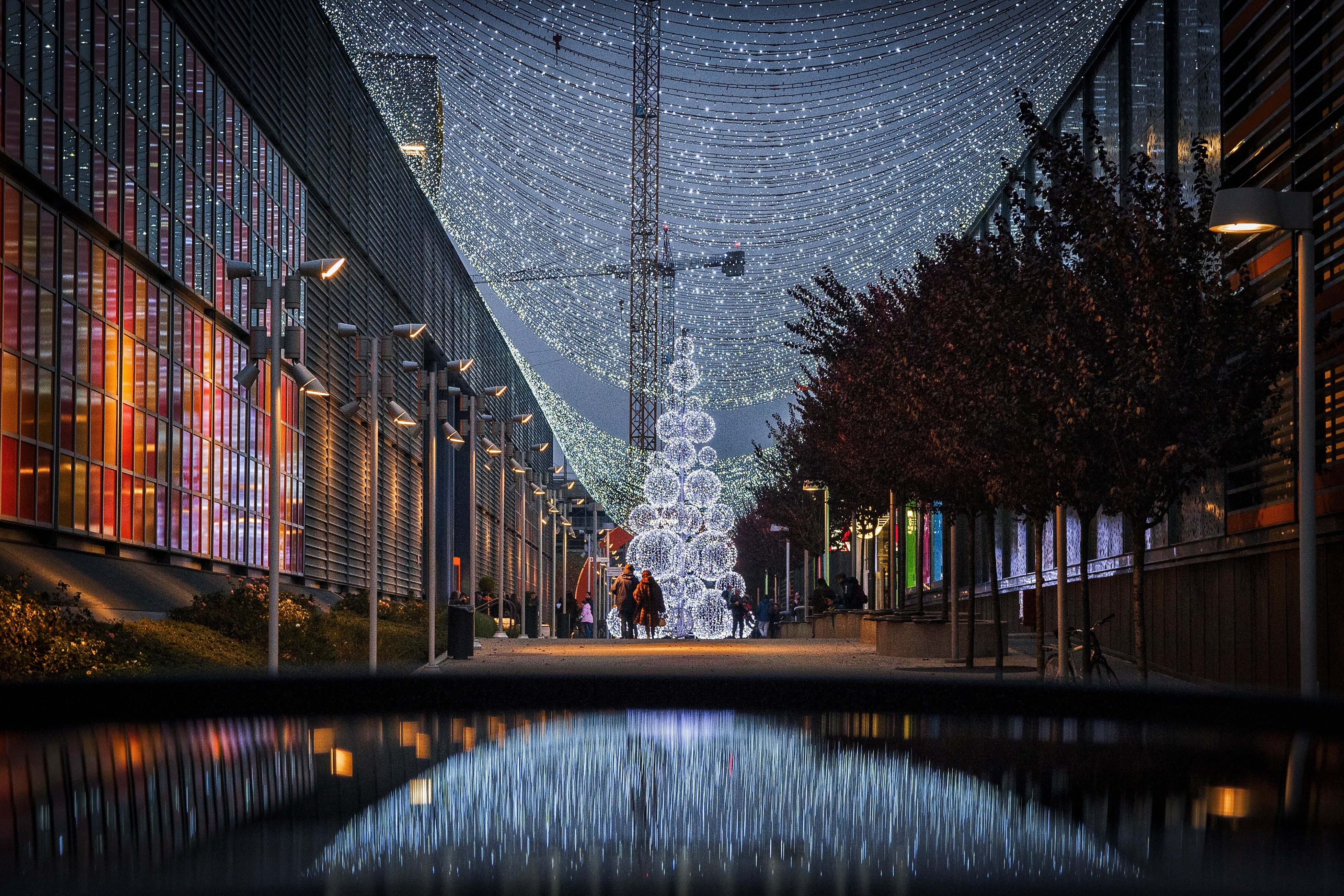 Christmas tree and lights reflected in water HD Wallpaper