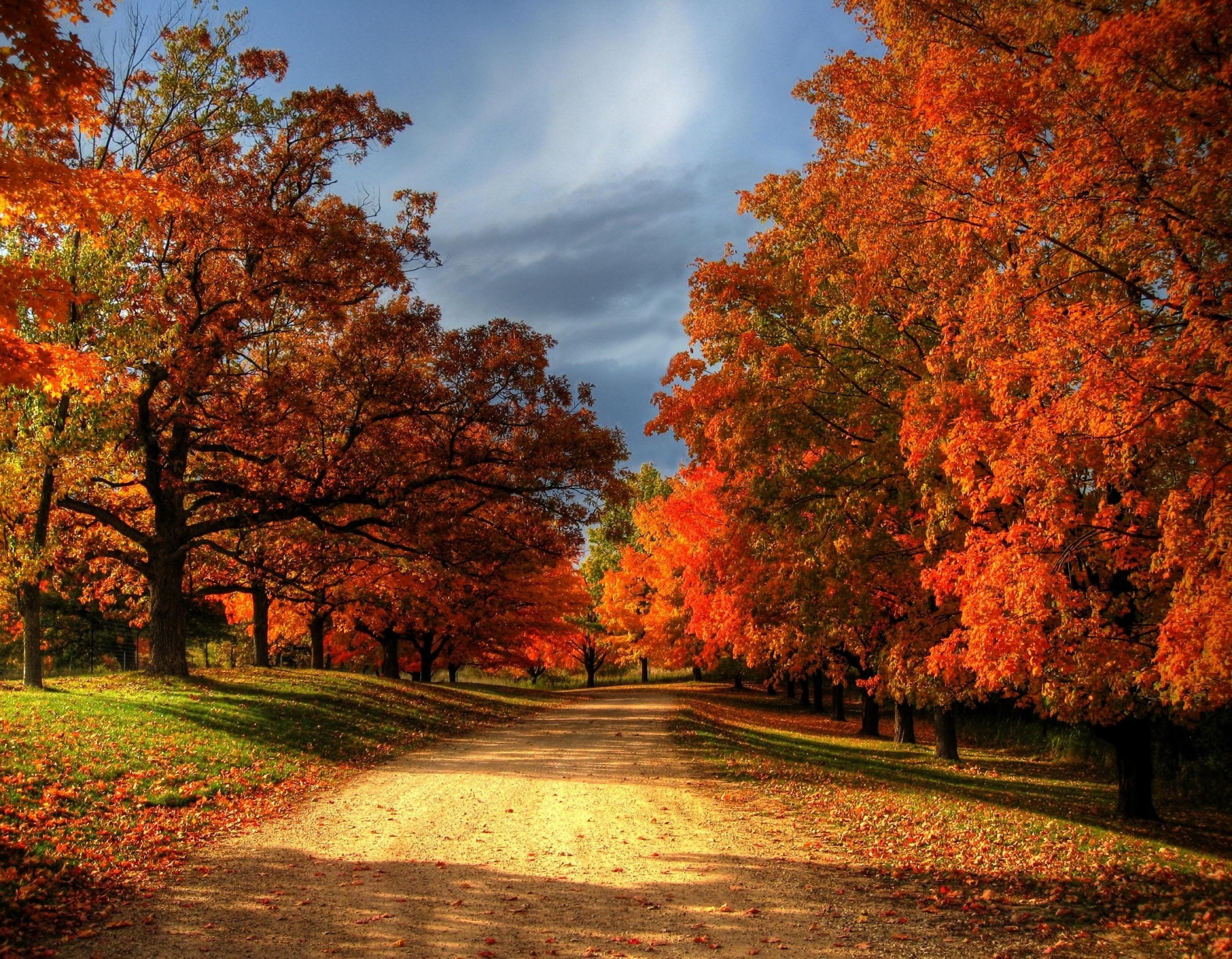 Dirt road lined with autumn trees HD Wallpaper