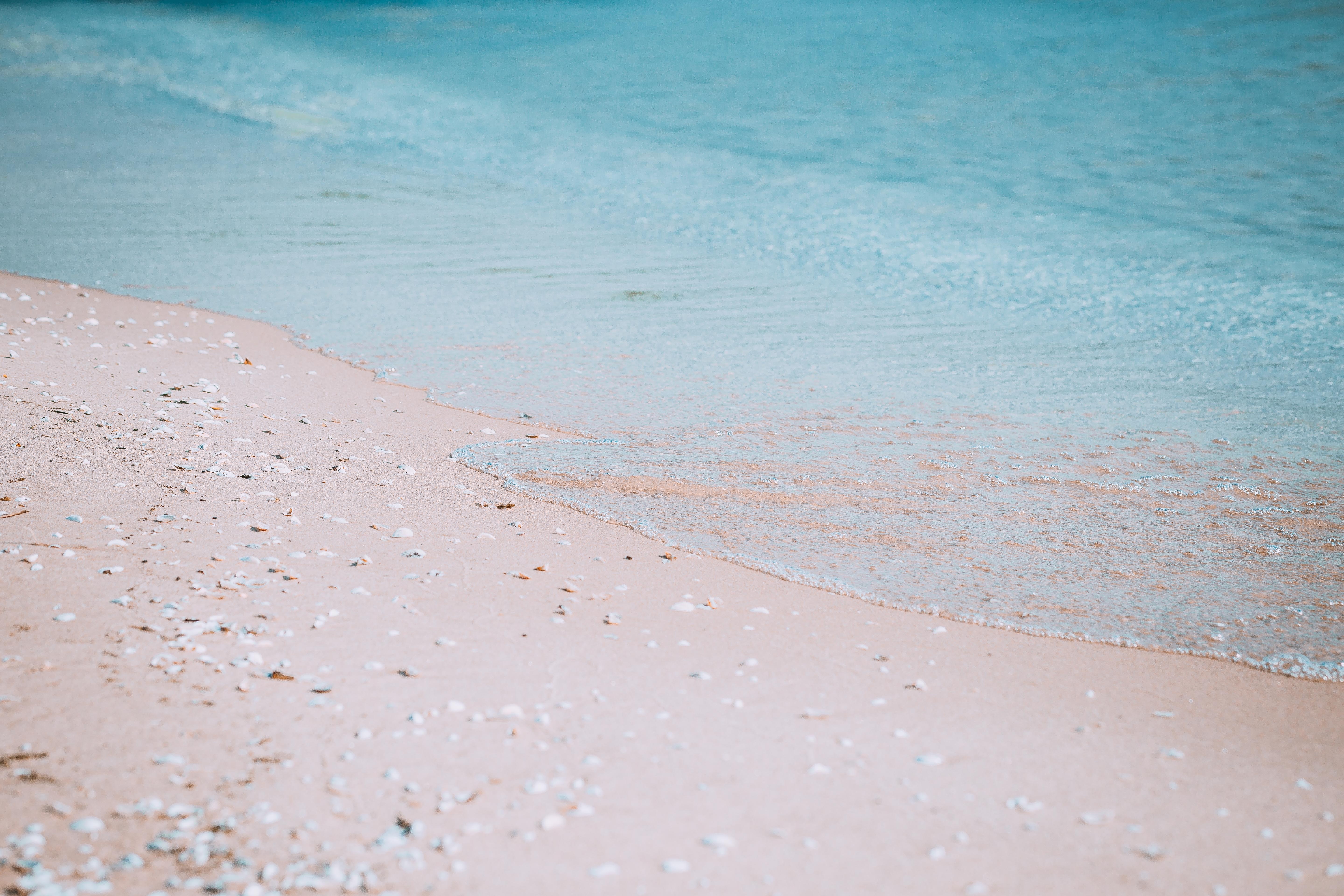 Gentle waves lap a sandy beach with scattered shells. HD Wallpaper